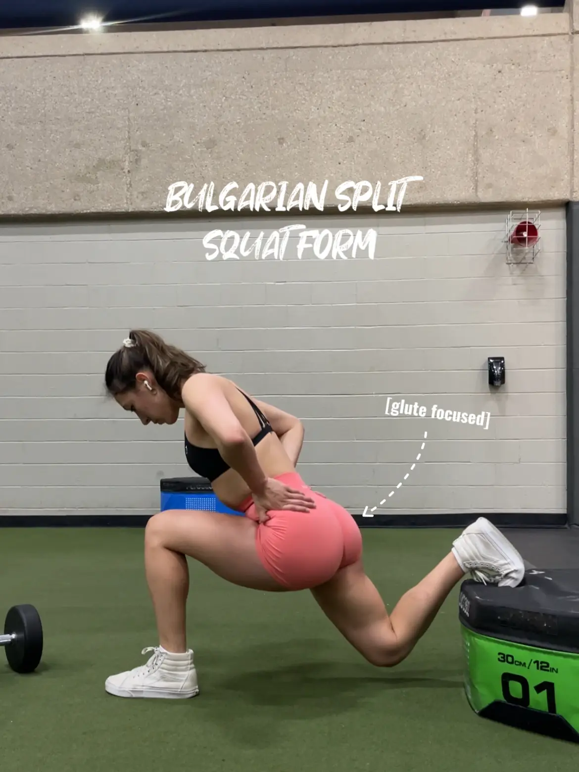 DB Jump Squats - Full Video Tutorial & Exercise Guide