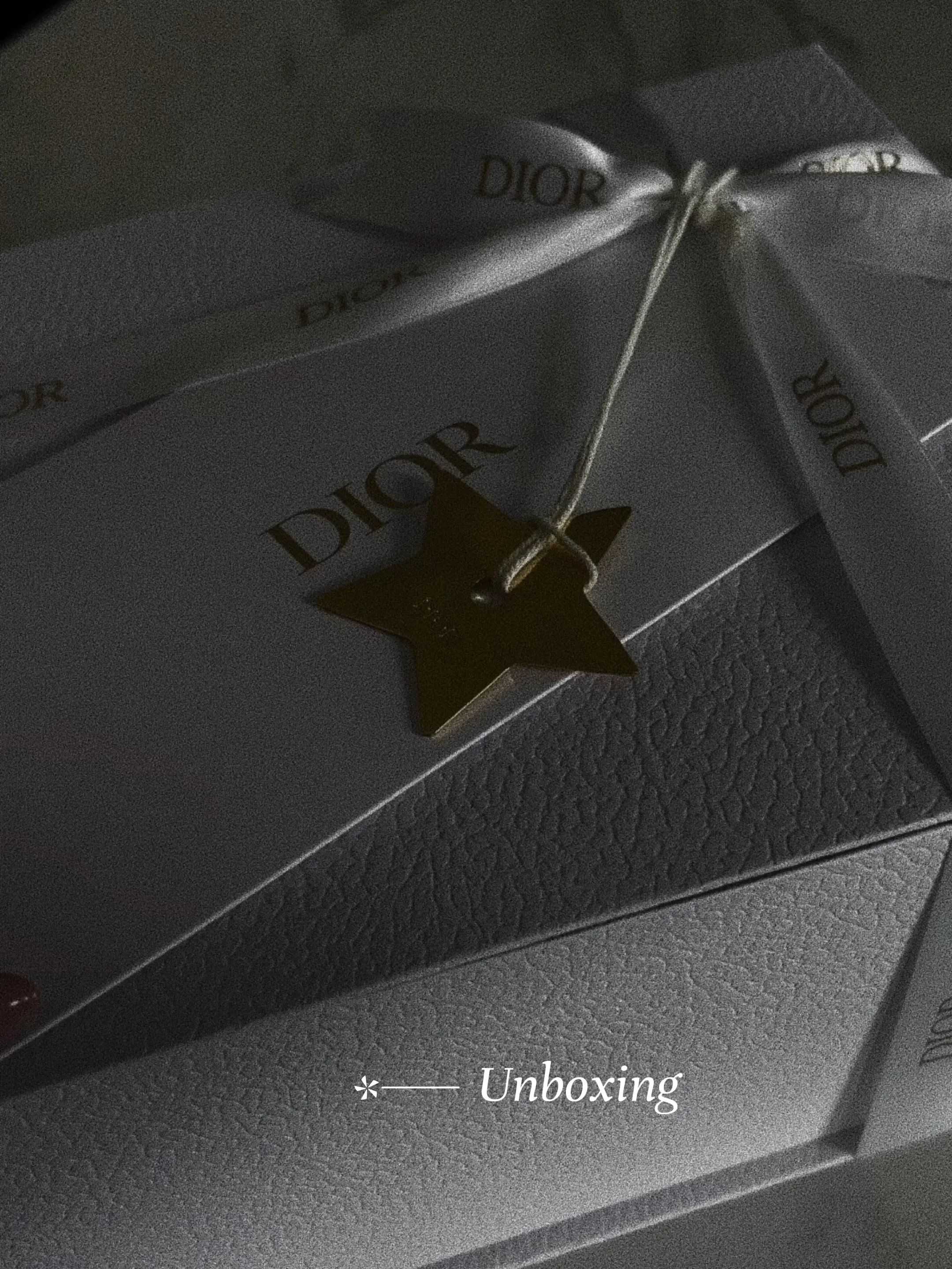 DIOR DIORIVIERA, Luxury Unboxing and Review