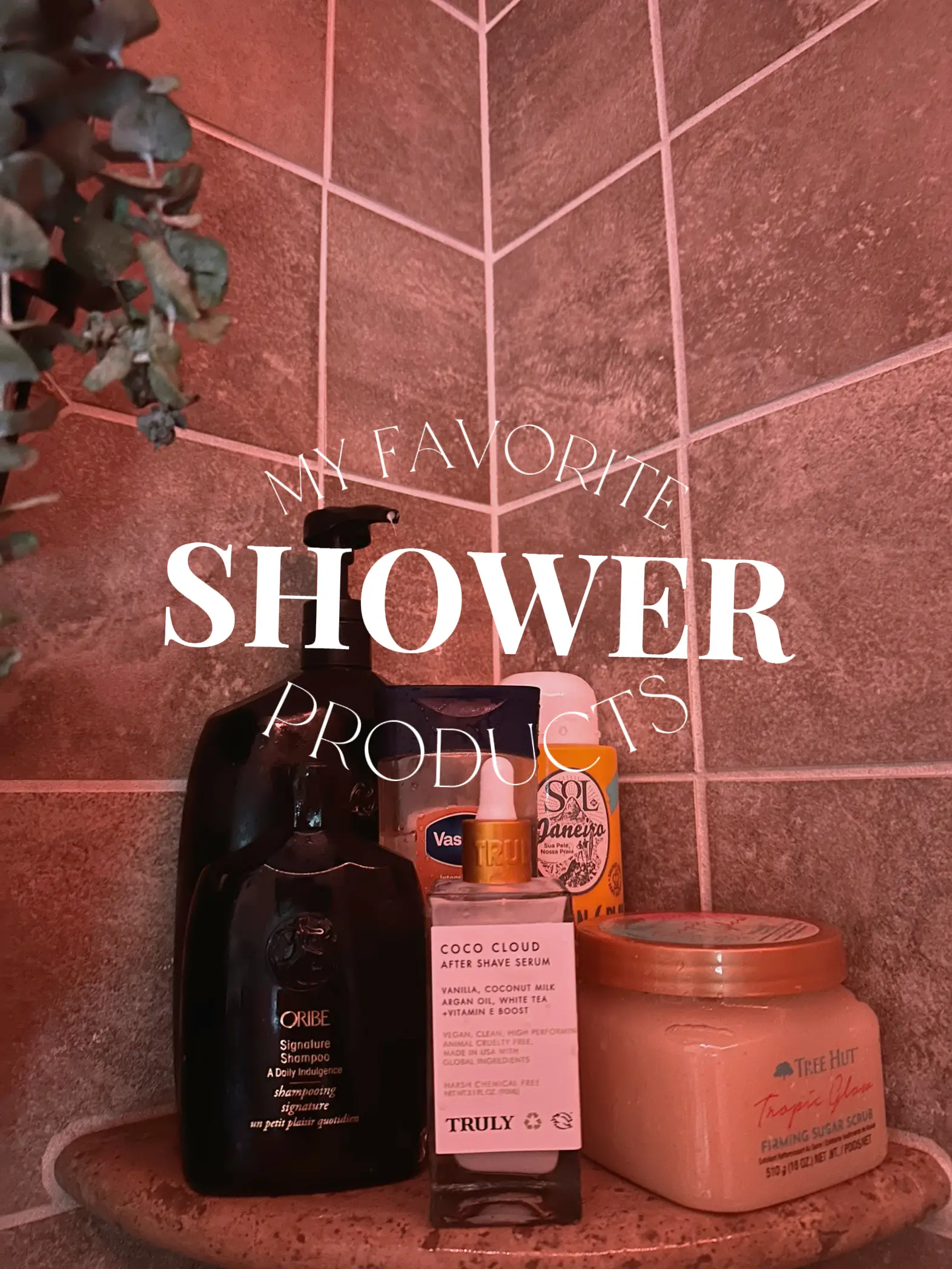  My favorite shower products.