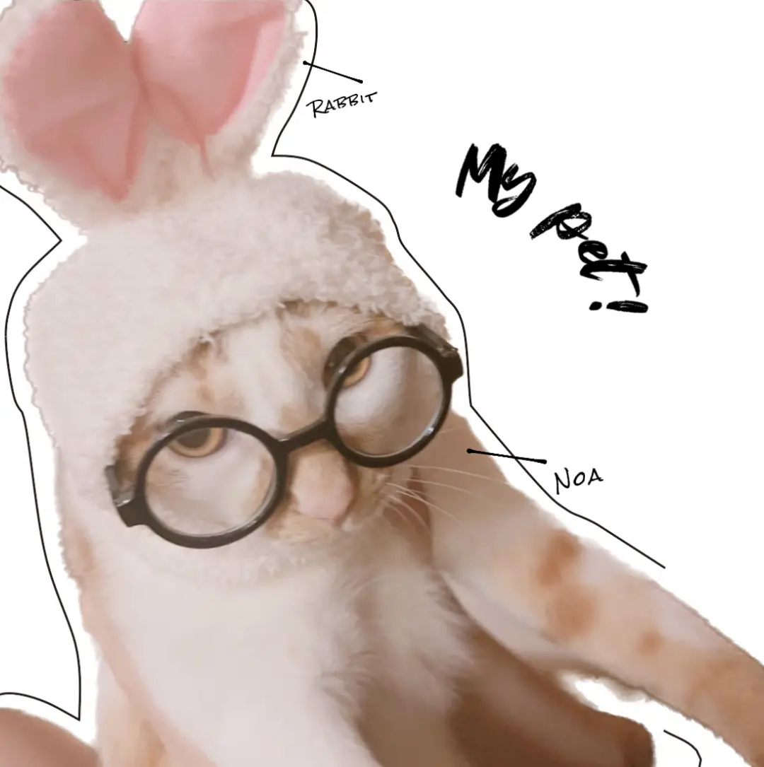 ウサギになった猫♡ | Lipi nailが投稿したフォトブック | Lemon8