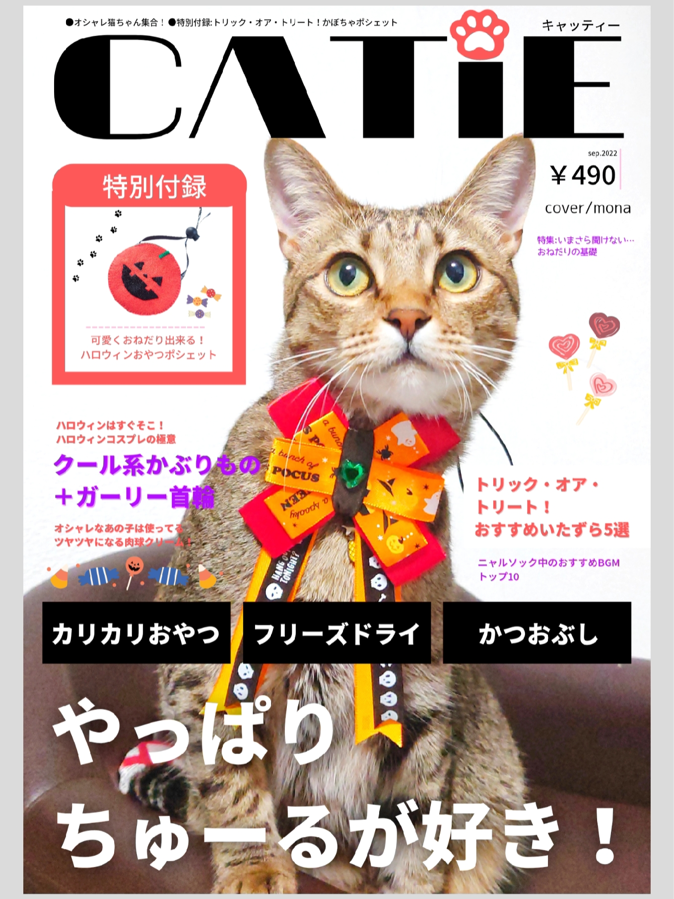 雑誌 セール 加工