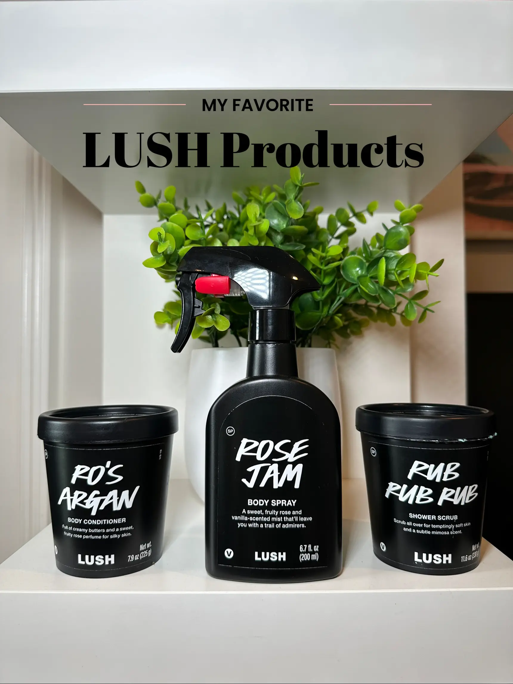 I went into Lush three weeks ago for the first time to buy a small bottle  of Silky Underwear powder and now I'm addicted…an autobiography. :  r/LushCosmetics