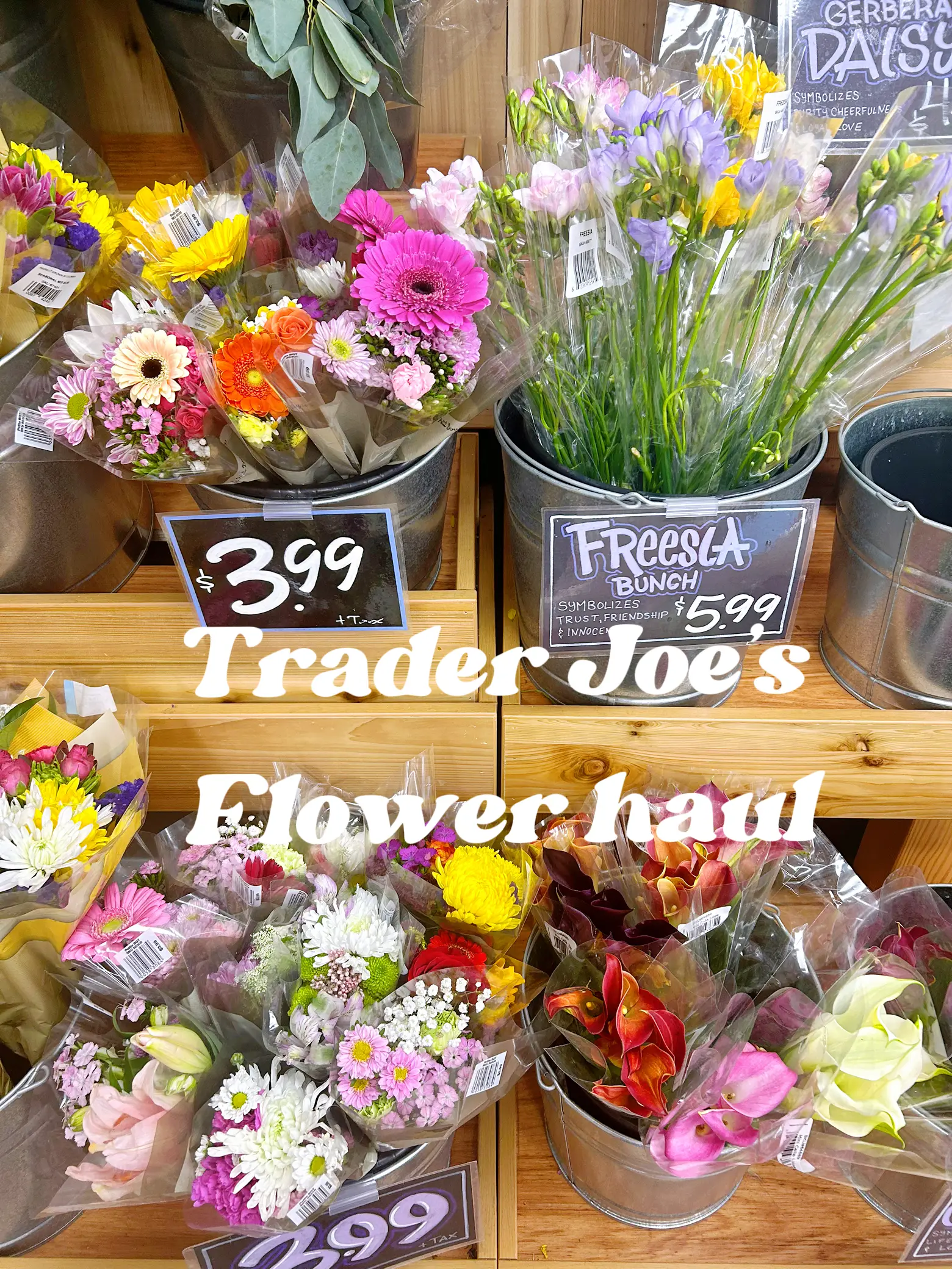 Trader joe's deals flowers