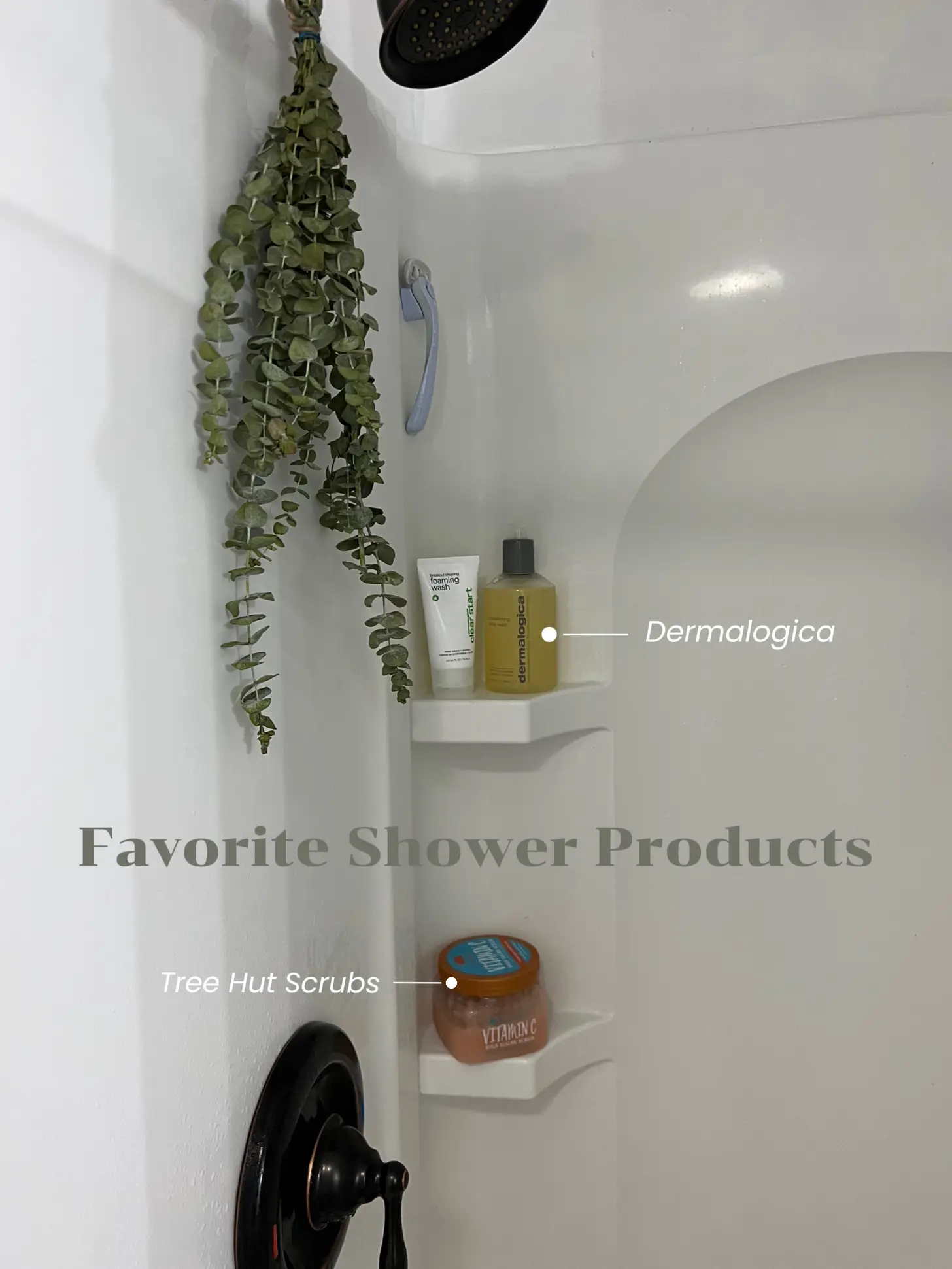 shower must have products for an everything shower, Gallery posted by  sonya