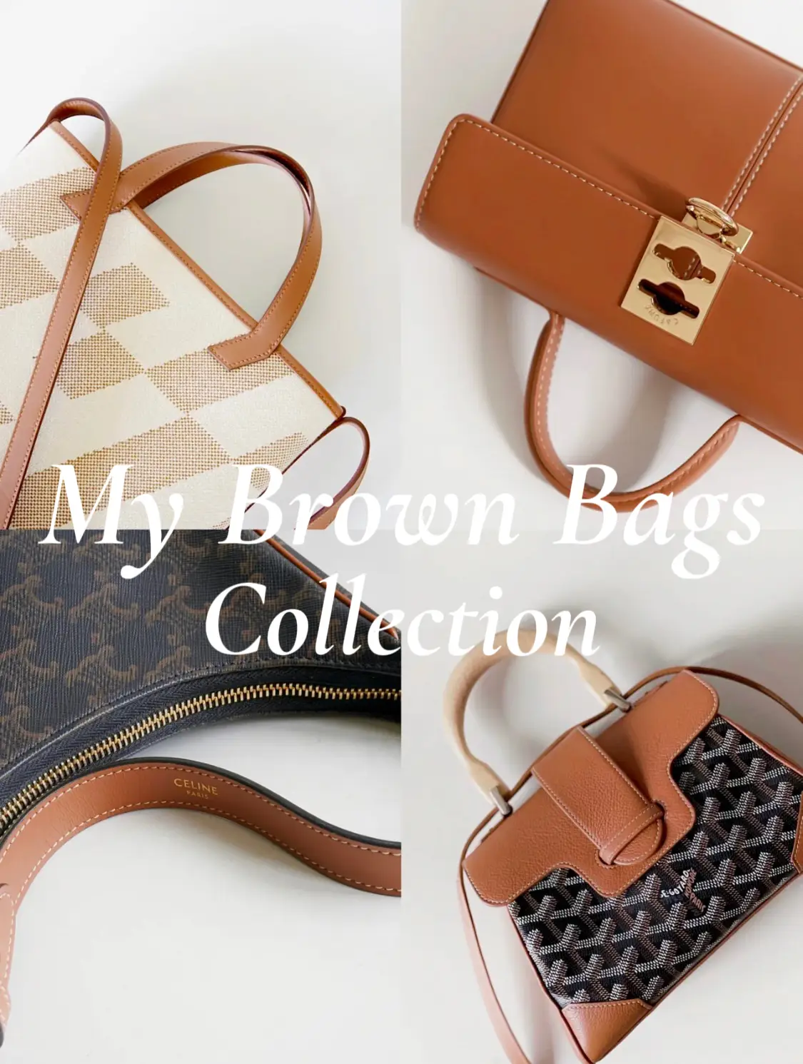 Goyard Soft Mini Saigon  Luxury bags collection, Leather bag women, Unique  bags