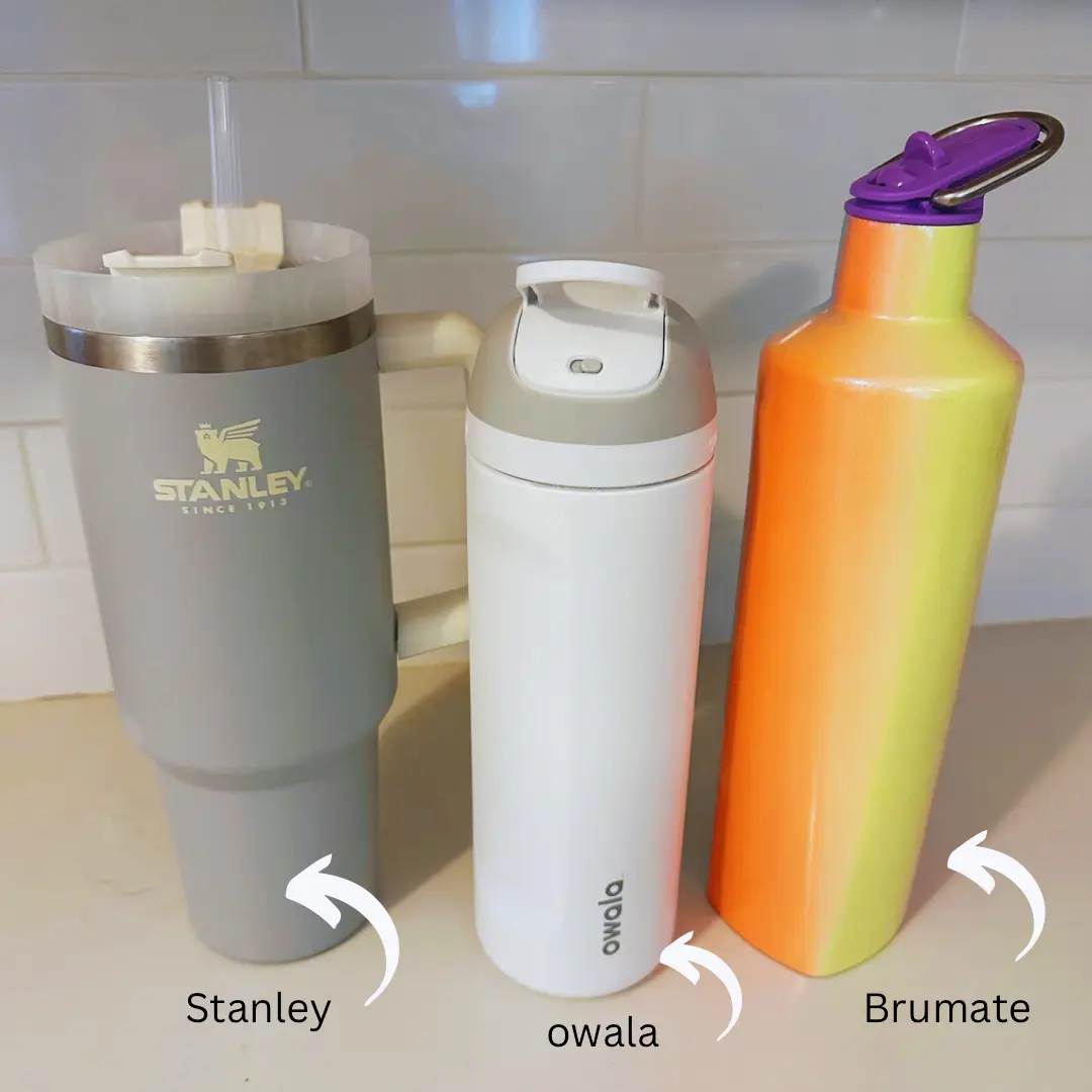 Owala vs Stanley: Which Viral Water Bottle Is For You? – LifeSavvy
