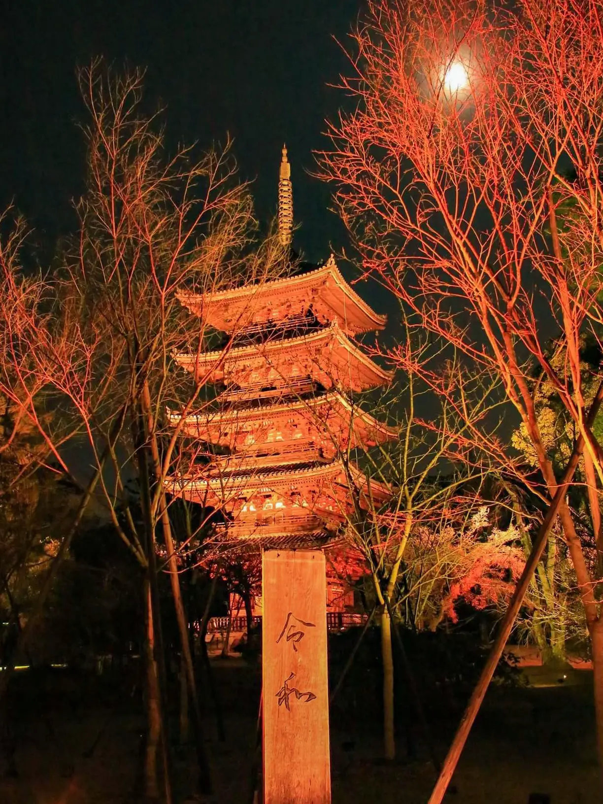 おもてなし庵スケスケ着物 京都】NAKED GARDEN ONE KYOTO仁和寺 | チサトが投稿したフォトブック | Lemon8