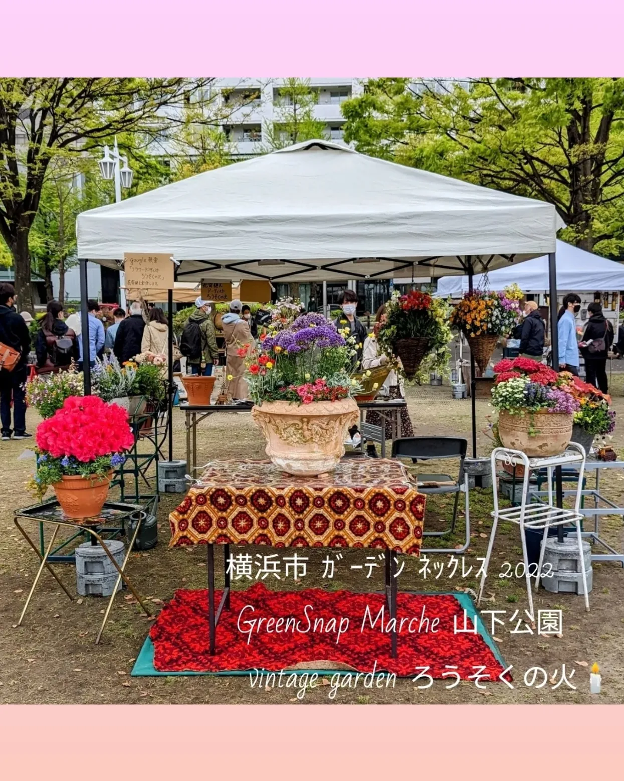 初投稿が1.2万閲覧突破‼️皆様ありがとう🤗ｼｯｸでｱﾝﾃｨｰｸ·高貴な花鉢植え