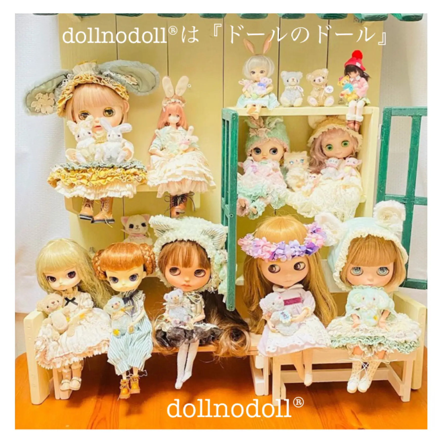 dollnodoll®︎は『ドールのドール』 | うさ子（モールアニマル工房）が投稿したフォトブック | Lemon8