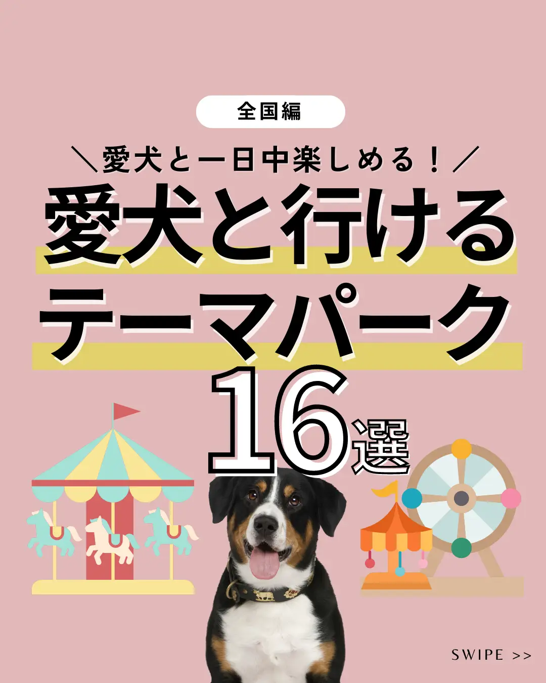 2024年のペット同伴のお出かけにぴったりのコーデのアイデア20選