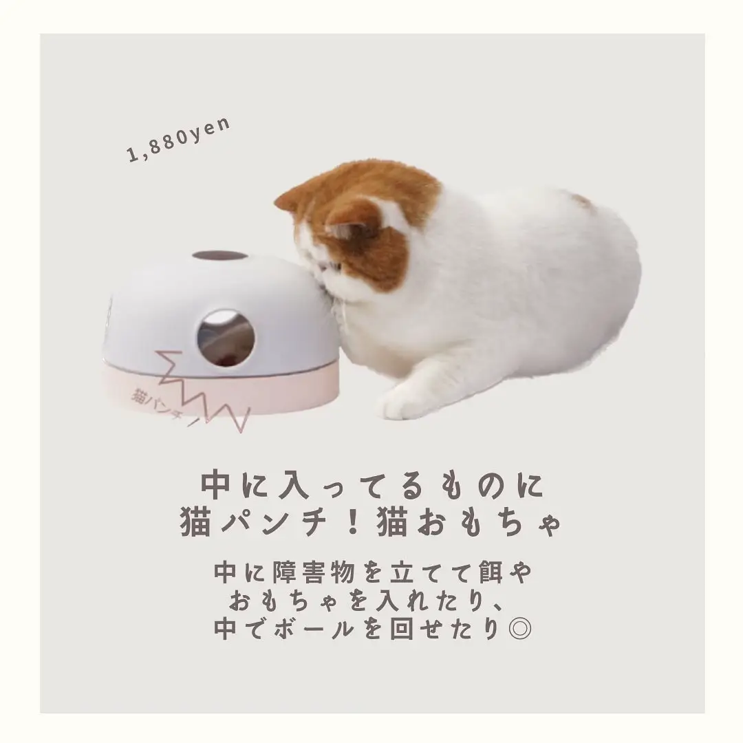 猫 おもちゃ トンネル ボール 猫のおもちゃ スパイラル 猫じゃらし ペット用品 犬 ねこ キャットトイ