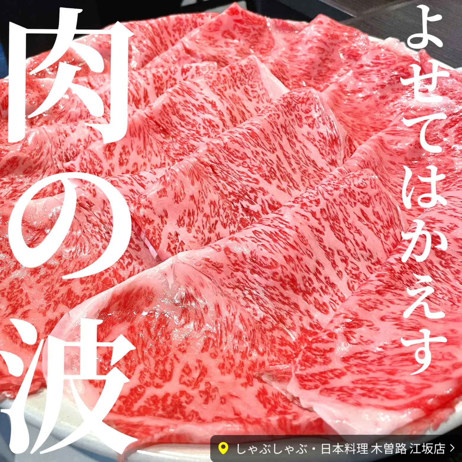 よせてはかえす肉の波、松阪牛しゃぶしゃぶ。『木曽路』 | のんきっき