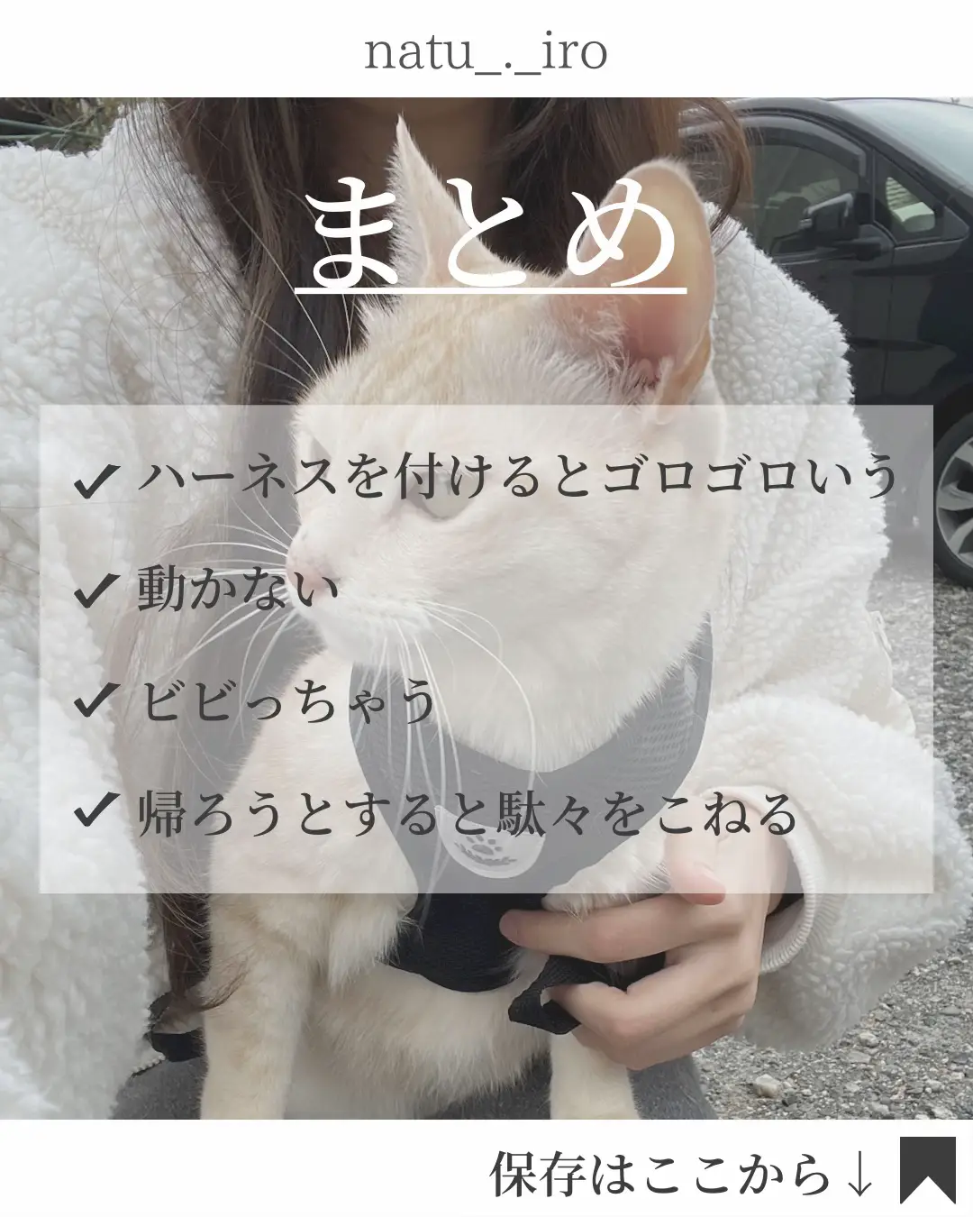 にゃんこの散歩あるある🐾 | なつ｜ニャンコと優雅な生活が投稿した