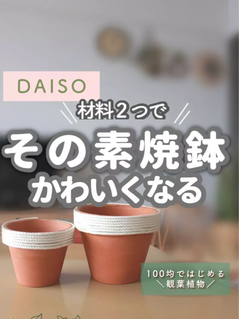 りえうさぎさまご確認ページ リメイク鉢 恥じ