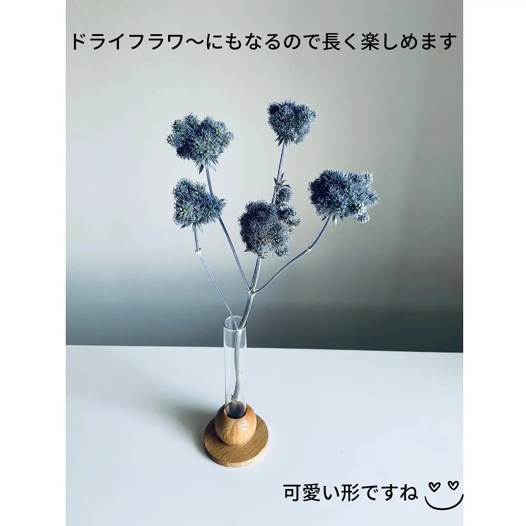 ドライフラワー☆グリーンの爽やかリース☆エリンジューム癒し