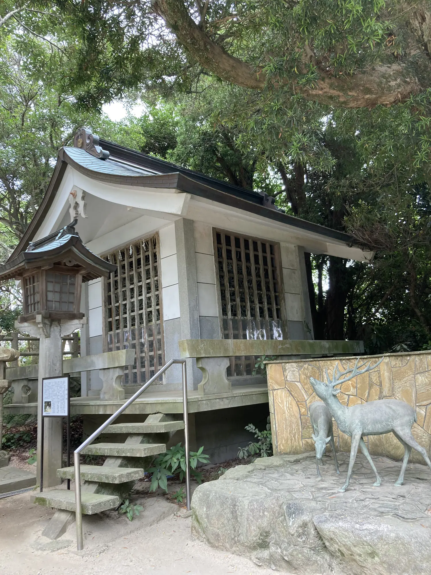 福岡⛩ 志賀島 志賀海神社 龍神様がいる神社🐉✨ | 小緒里が投稿したフォトブック | Lemon8