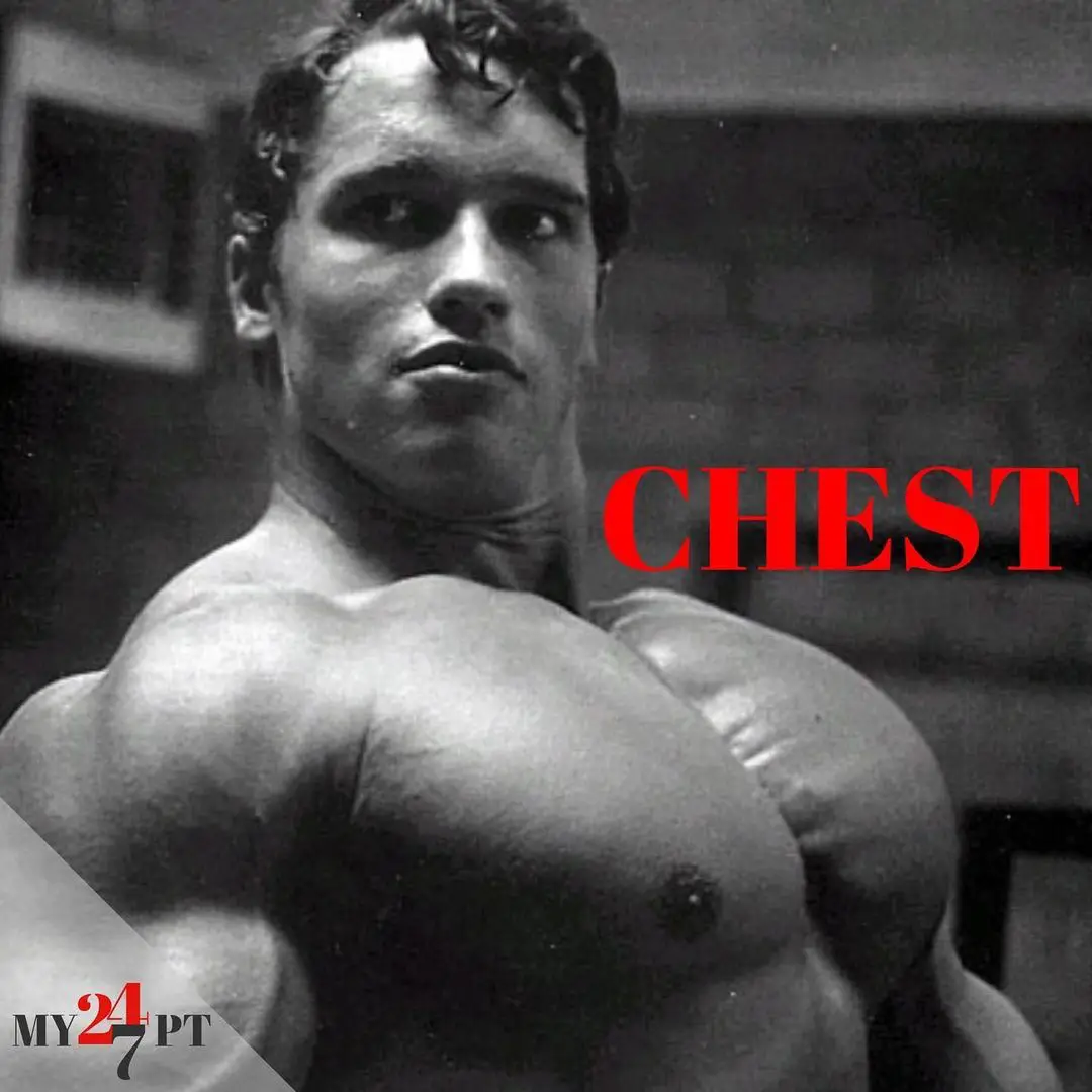 FULL CHEST ROUTINE 🦍 #gym #bodybuilding #fyp #chest #chestday, Chest  Workouts