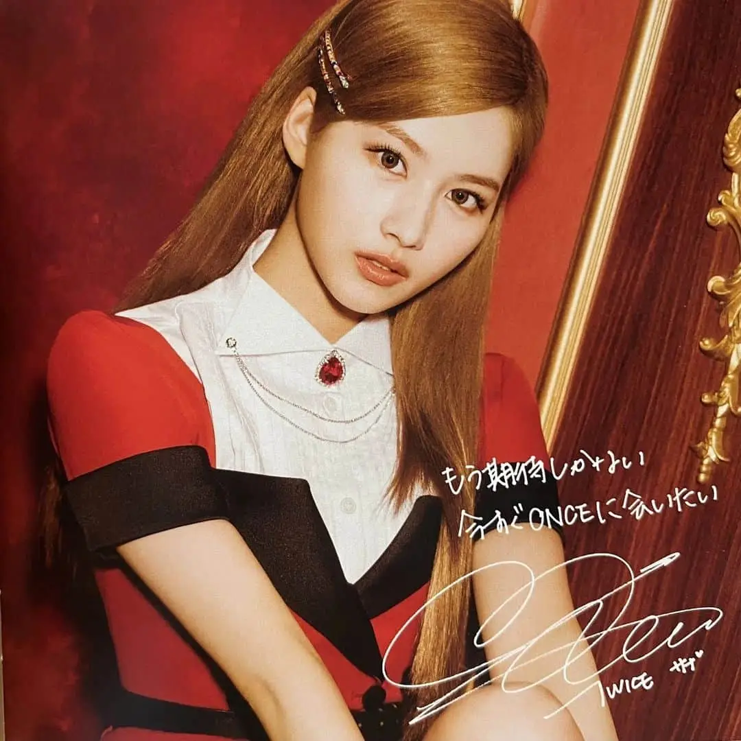 TWICEサナ Perfect World ハイタッチ券 TWICEサナ ハイタッチ券
