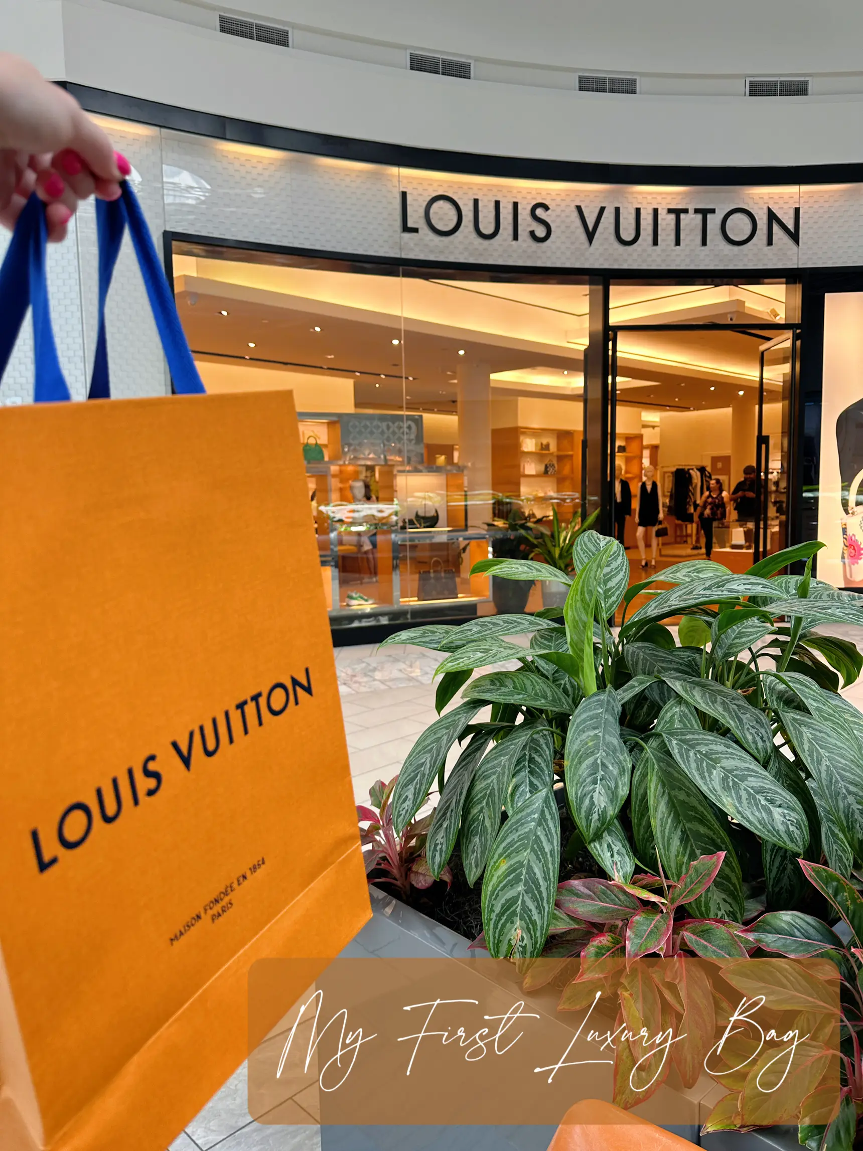 Shopping my 1ST LOUIS VUITTON Bag