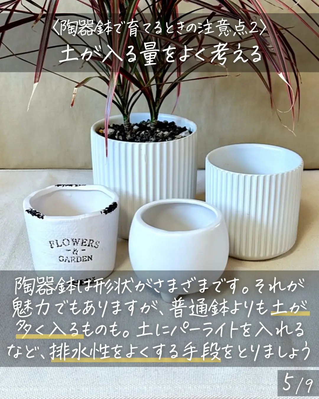 ちょっと使いづらいかも…〉陶器鉢で植物を育てるときの注意点