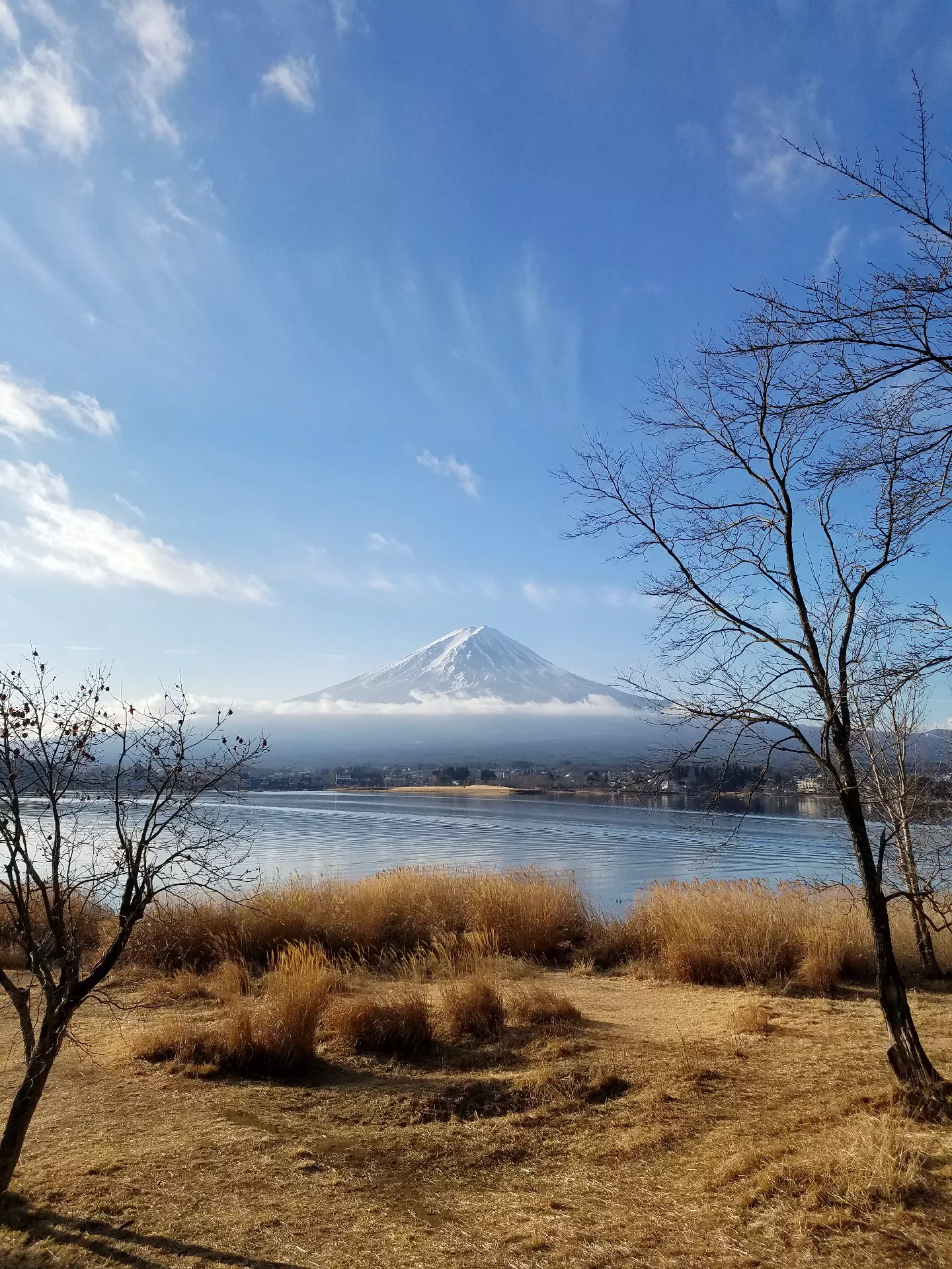 オーダー用 ダイカット 富士山 鳥居 桜 日の出-