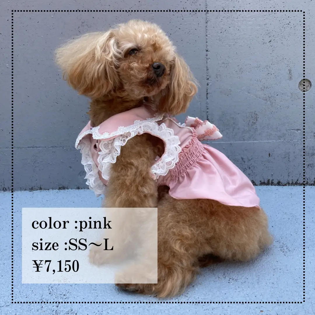 ダックスちゃん❤︎ サイズ／ 価格 ❤︎ ハンドメイド 犬服 犬の服 - 犬用品