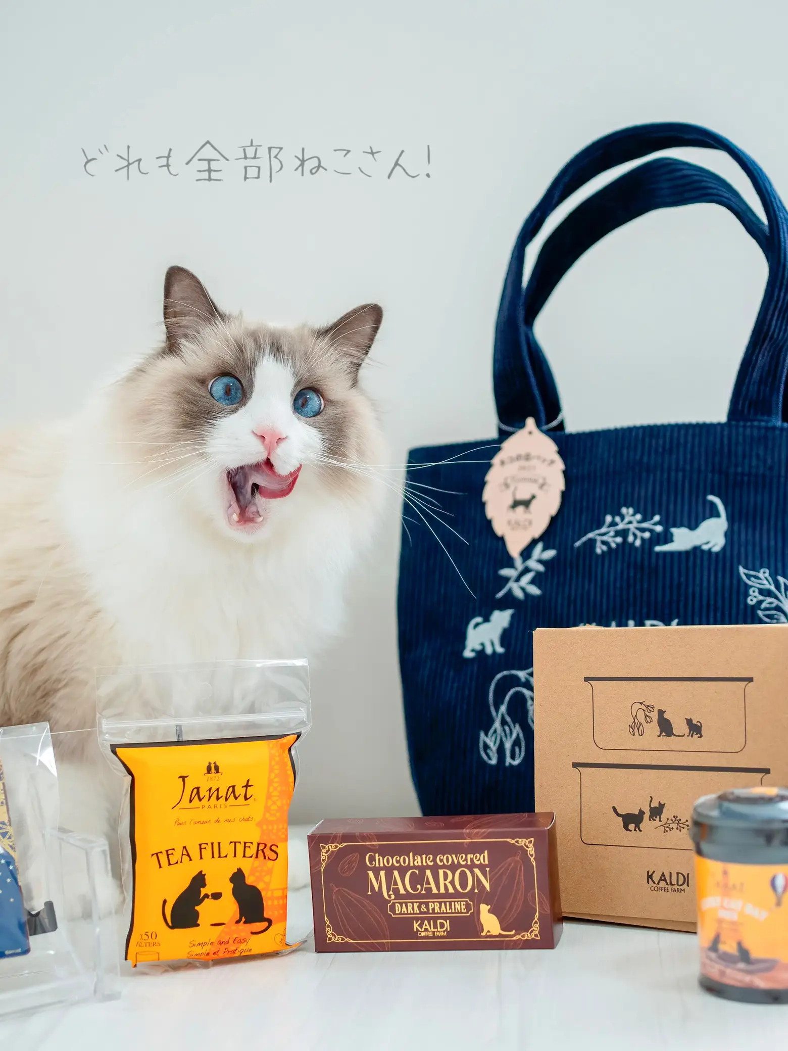 カルディ 猫 バッグ トップ 売り切れ