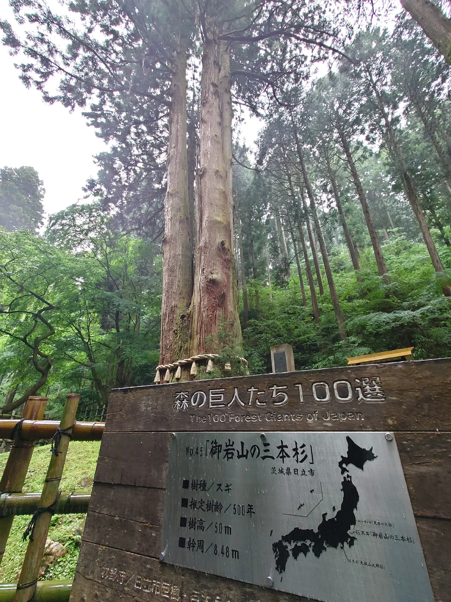 茨城.日立】常陸最古の霊山 最強パワースポット⛩️御岩神社 | ルーが