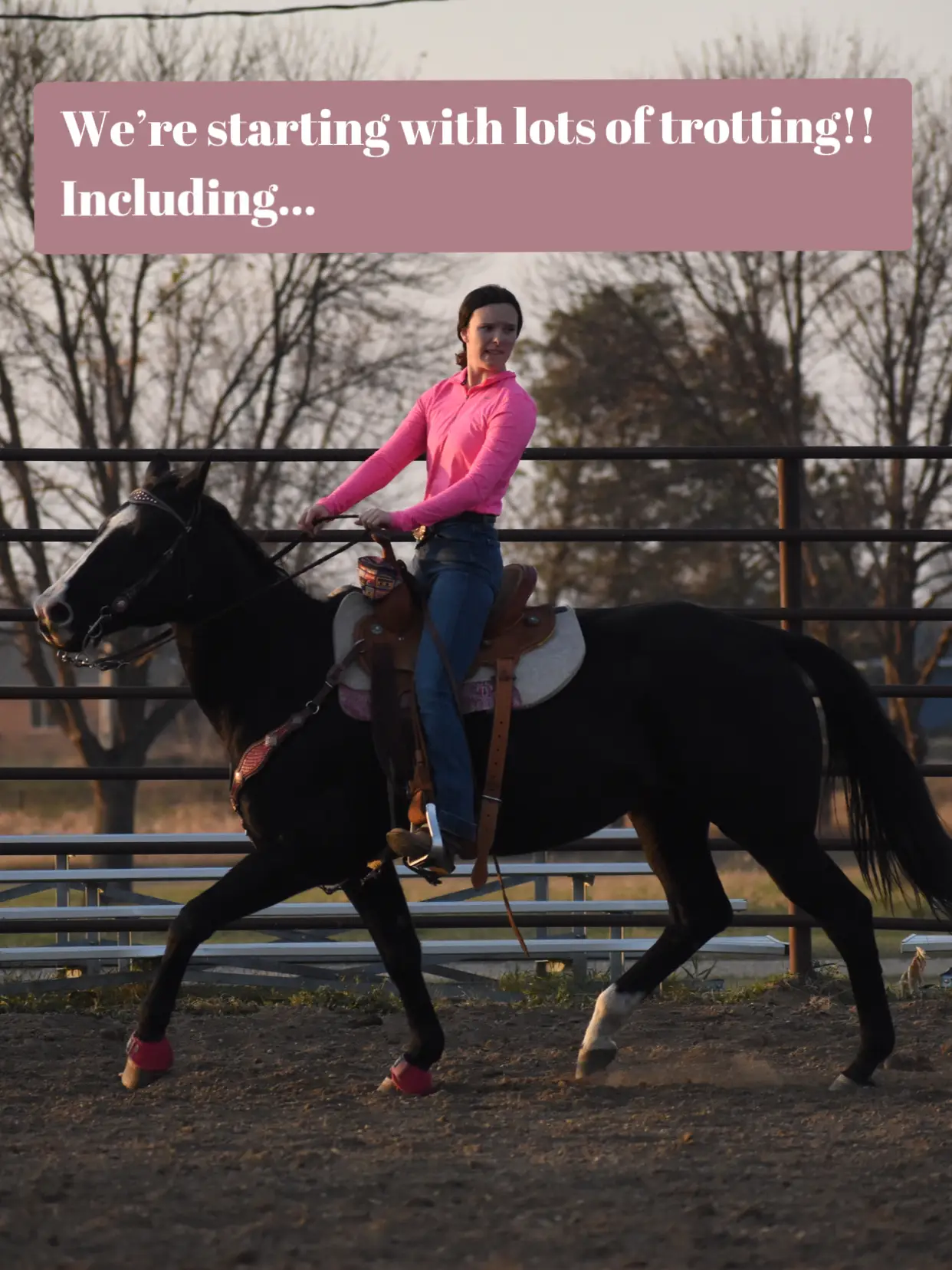 Female horseriders who fail to wear sports bras could be stressing