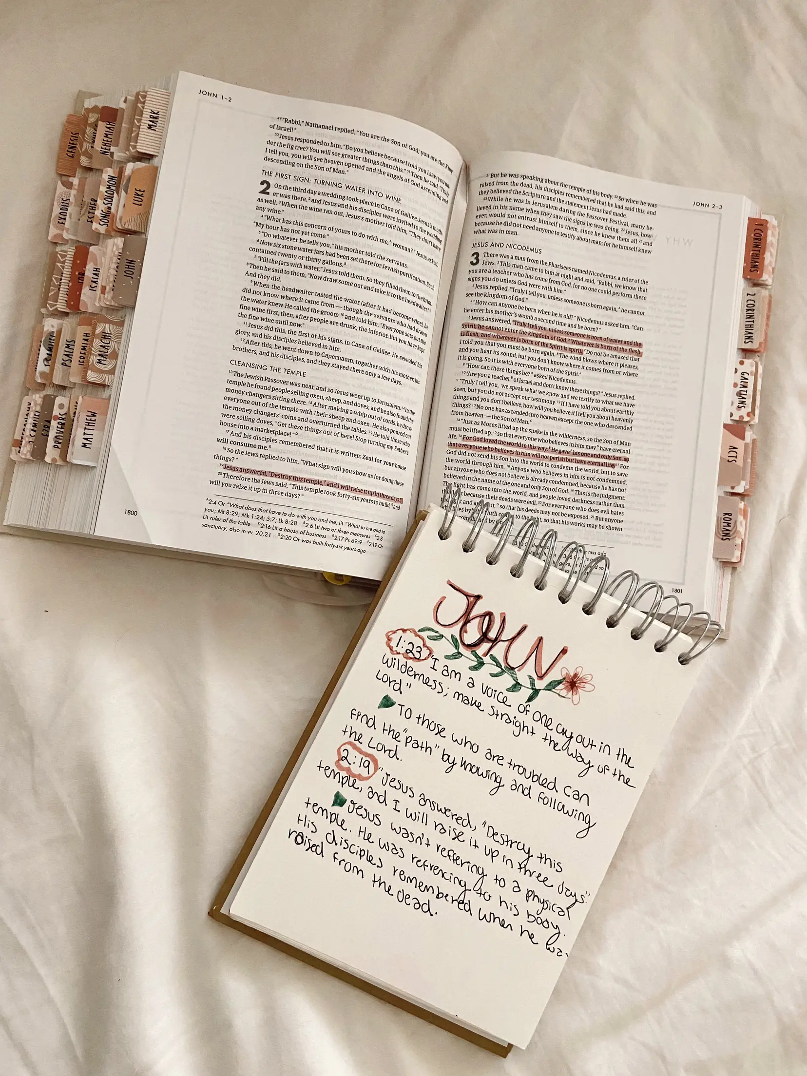 DaySpring Illustrating Bible 💗 (🔗 in comments), Gallery posted by  journeicierra