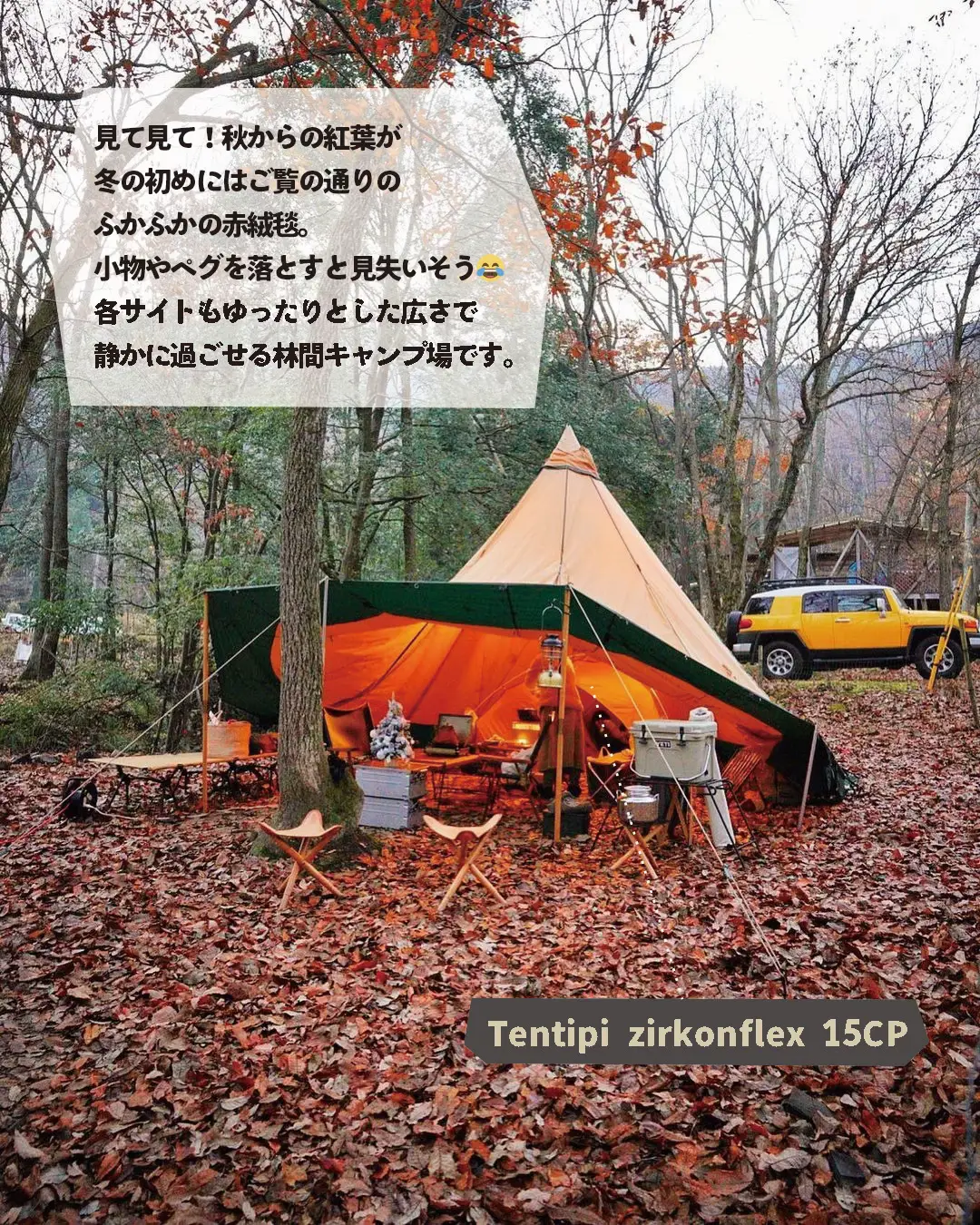 【滋賀】🍁レッドカーペット🍁が美しい静かな林間キャンプ場の画像 (1枚目)