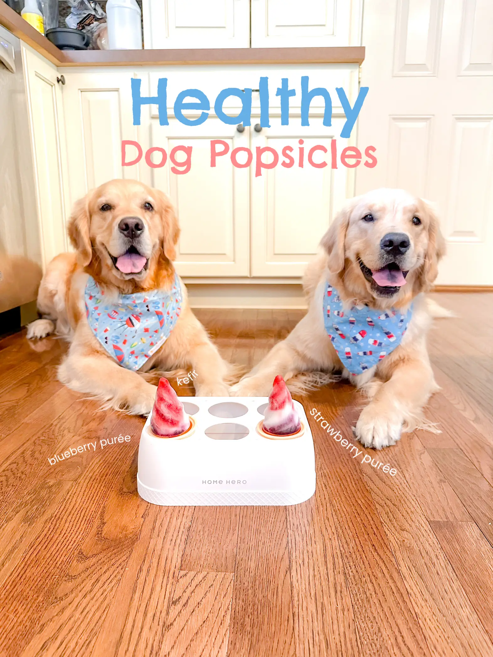 Healthy Popsicle Recipes for Your Dog – Sweet and Spicy Monkey