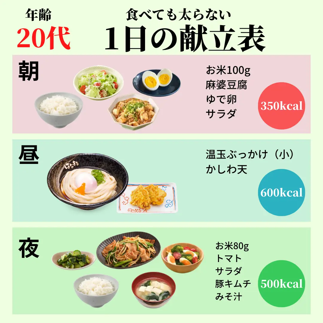 やせたい人のバランス献立/500kcalメニュー 易い やせたい人のバランス献立/500kcalメニュー 易い