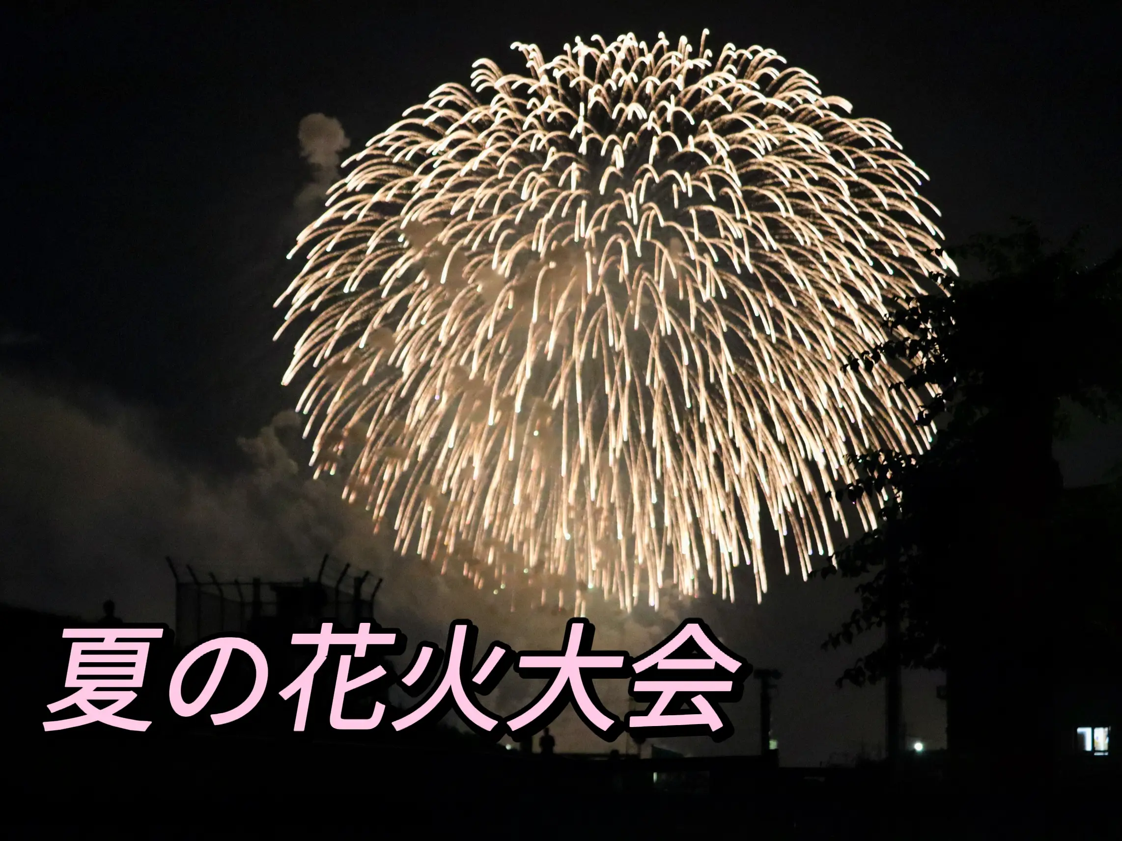 第34回 なにわ淀川花火大会 2022年 納涼船 チケット 大人気 2枚