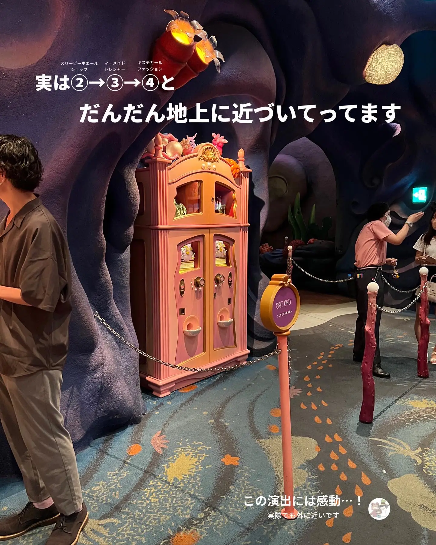 Whale Shop 🐳 DisneySea has a secret! | Gallery posted by あみの家