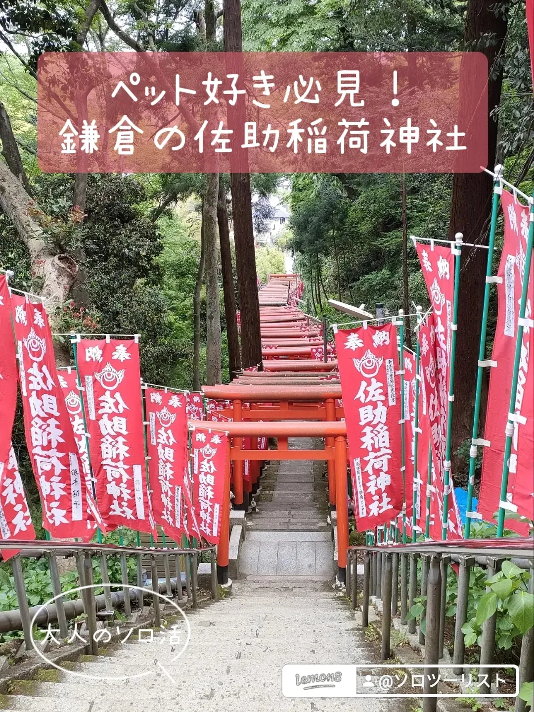 鎌倉 人気 ペット 旅行