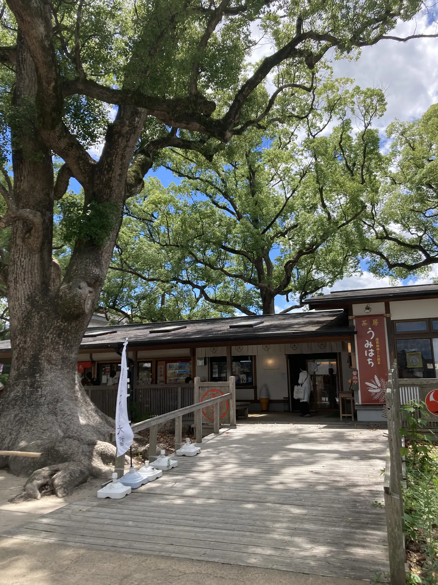 ⛩宇美八幡宮✨安産祈願✨子供祈願✨&ランチは「marumi cafe cafe