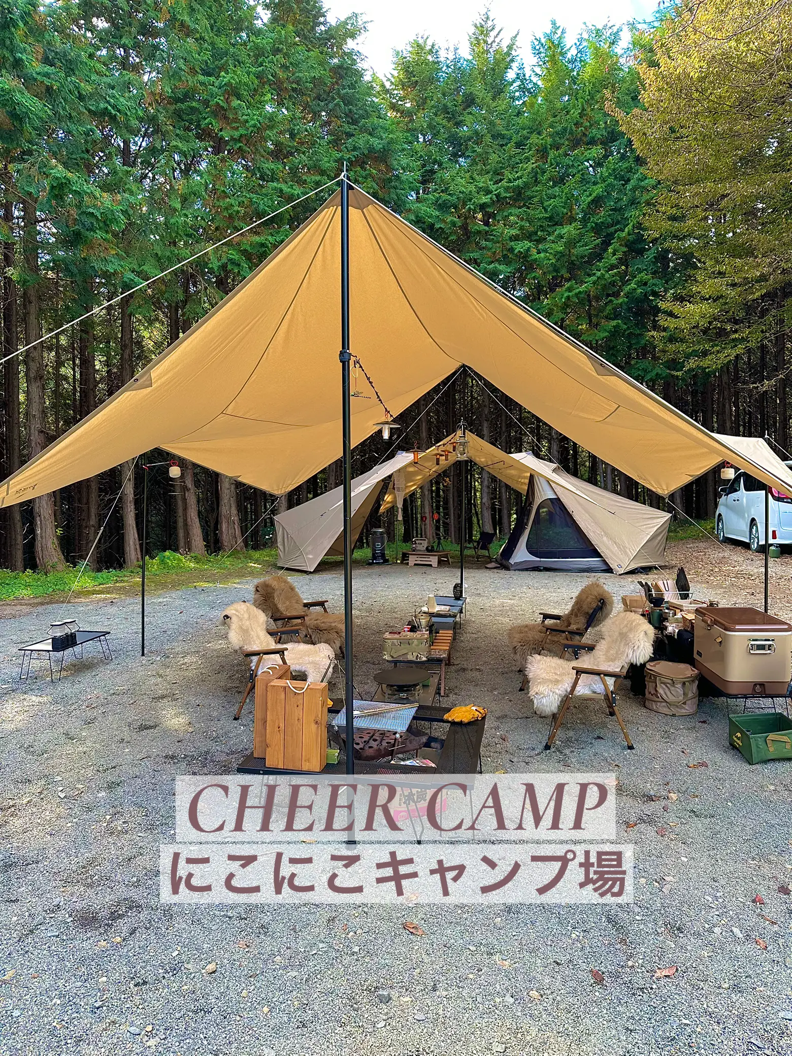 キャンプデビュー応援！【⠀Coleman 300×300  】 キャンプデビュー応援！【⠀Coleman 300×300 】
