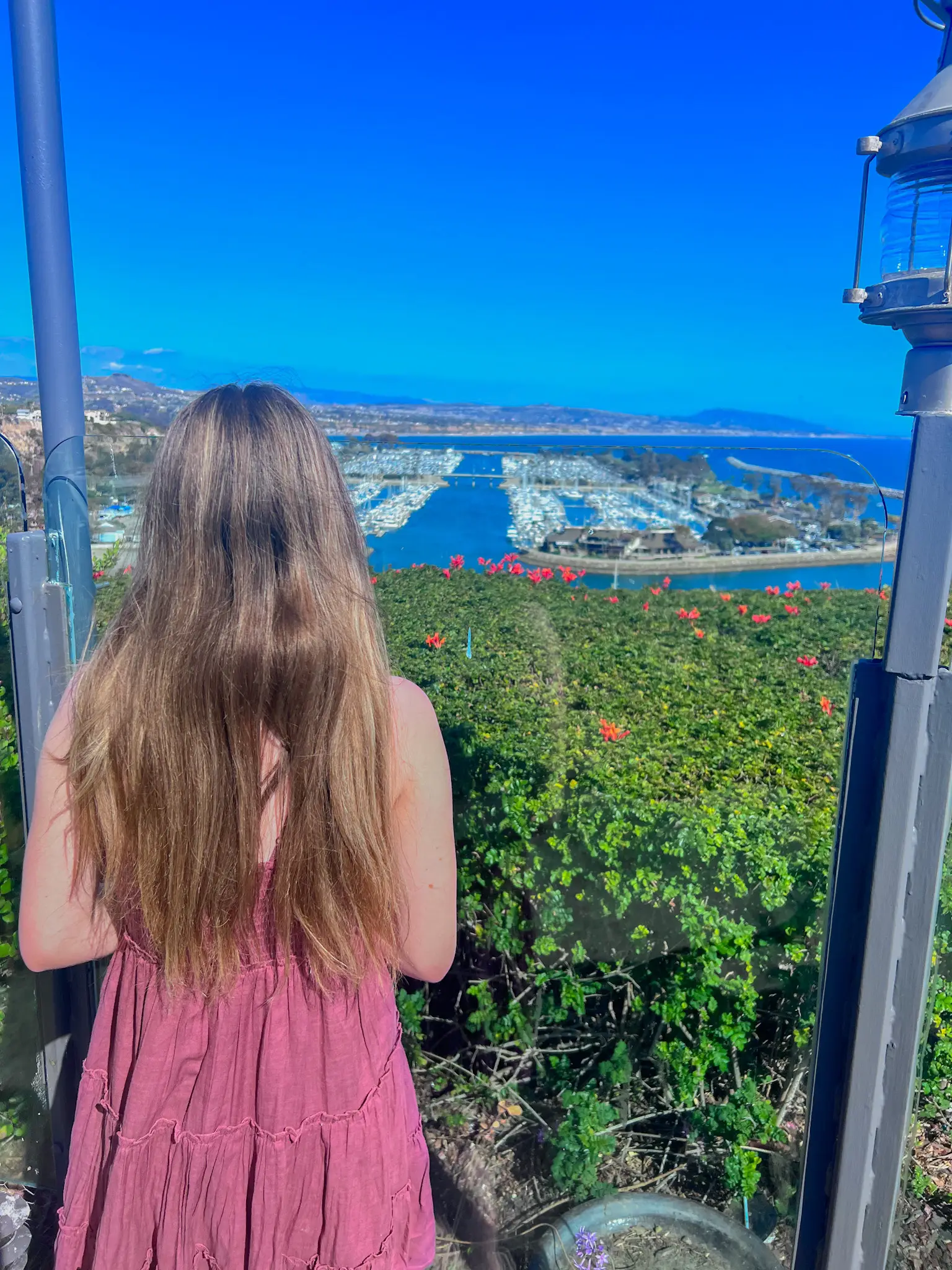 islagrace posted a contributio | Gallery posted by Islagrace | Lemon8