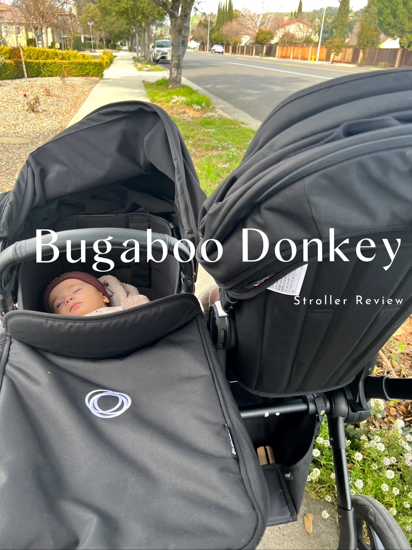 It feels like I'm not pushing anything - it's as if it drives itself' - new  mum tests the Bugaboo Fox 3 with rave results