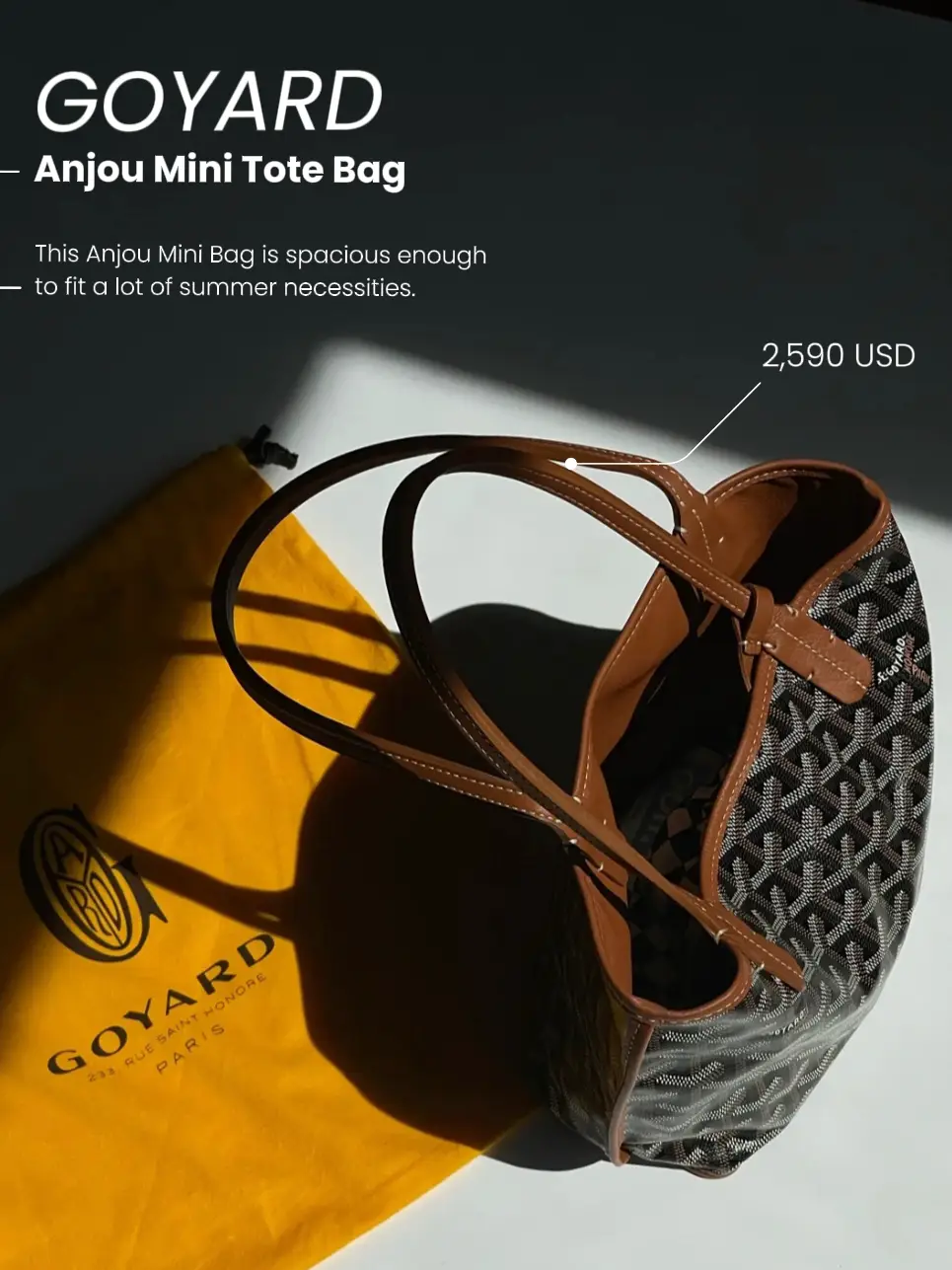What's In My Bag?  Goyard Anjou Mini Bag 