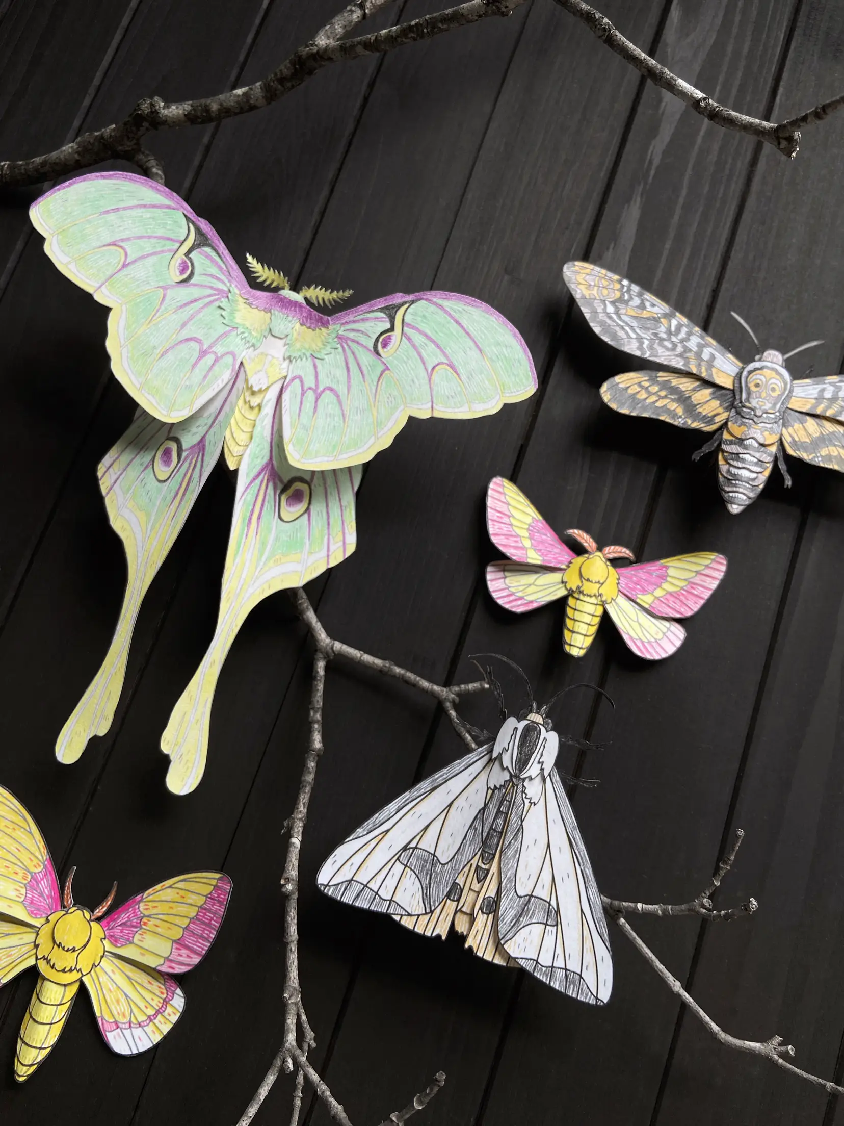 Butterfly & Moth Stickers | Paper Source