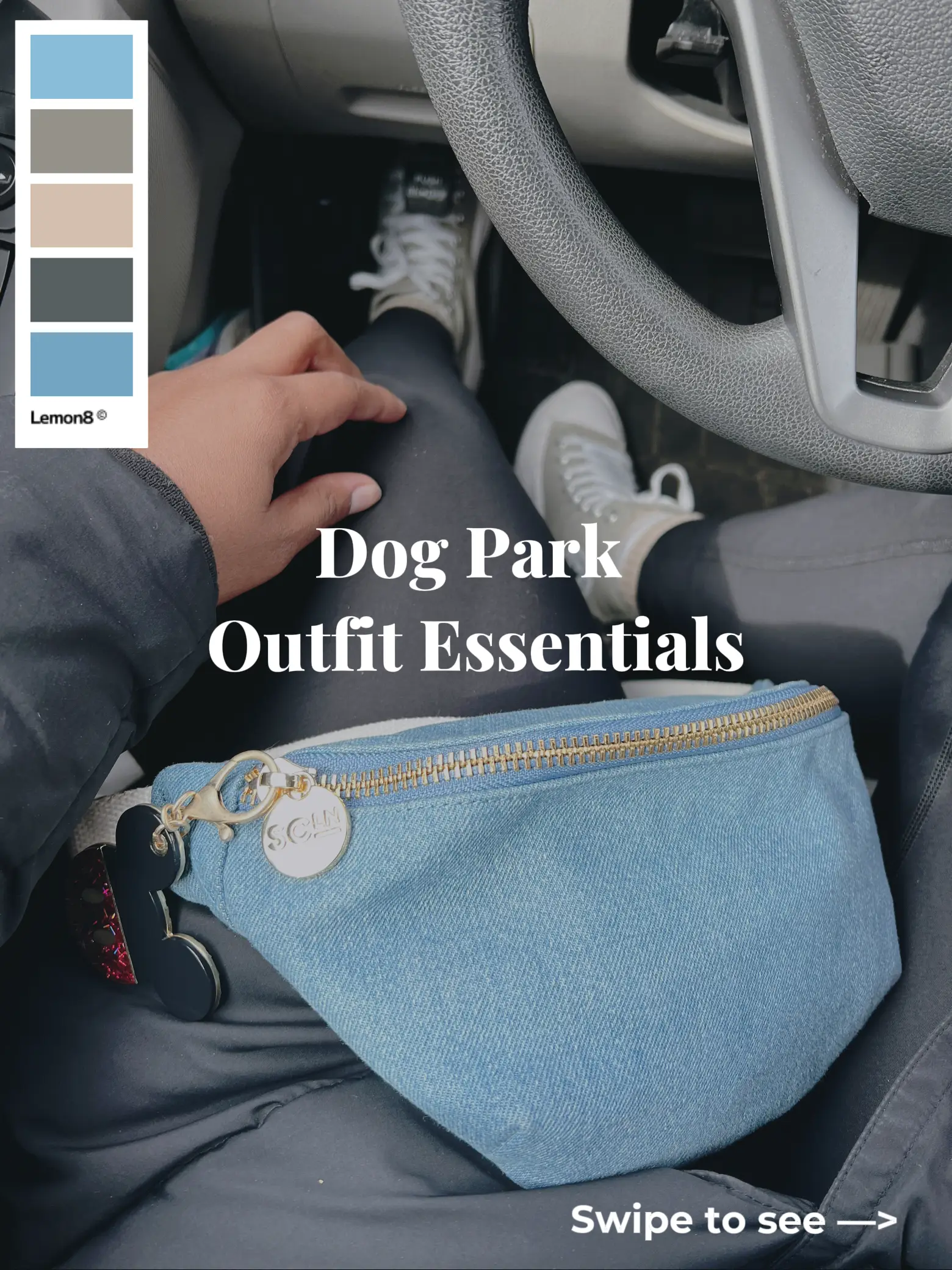 Dog hotsell park essentials