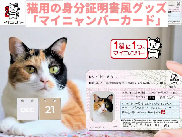 猫の身分証明書風グッズ「マイニャンバーカード」に新機能が追加！ | Cat Pressが投稿したフォトブック | Lemon8