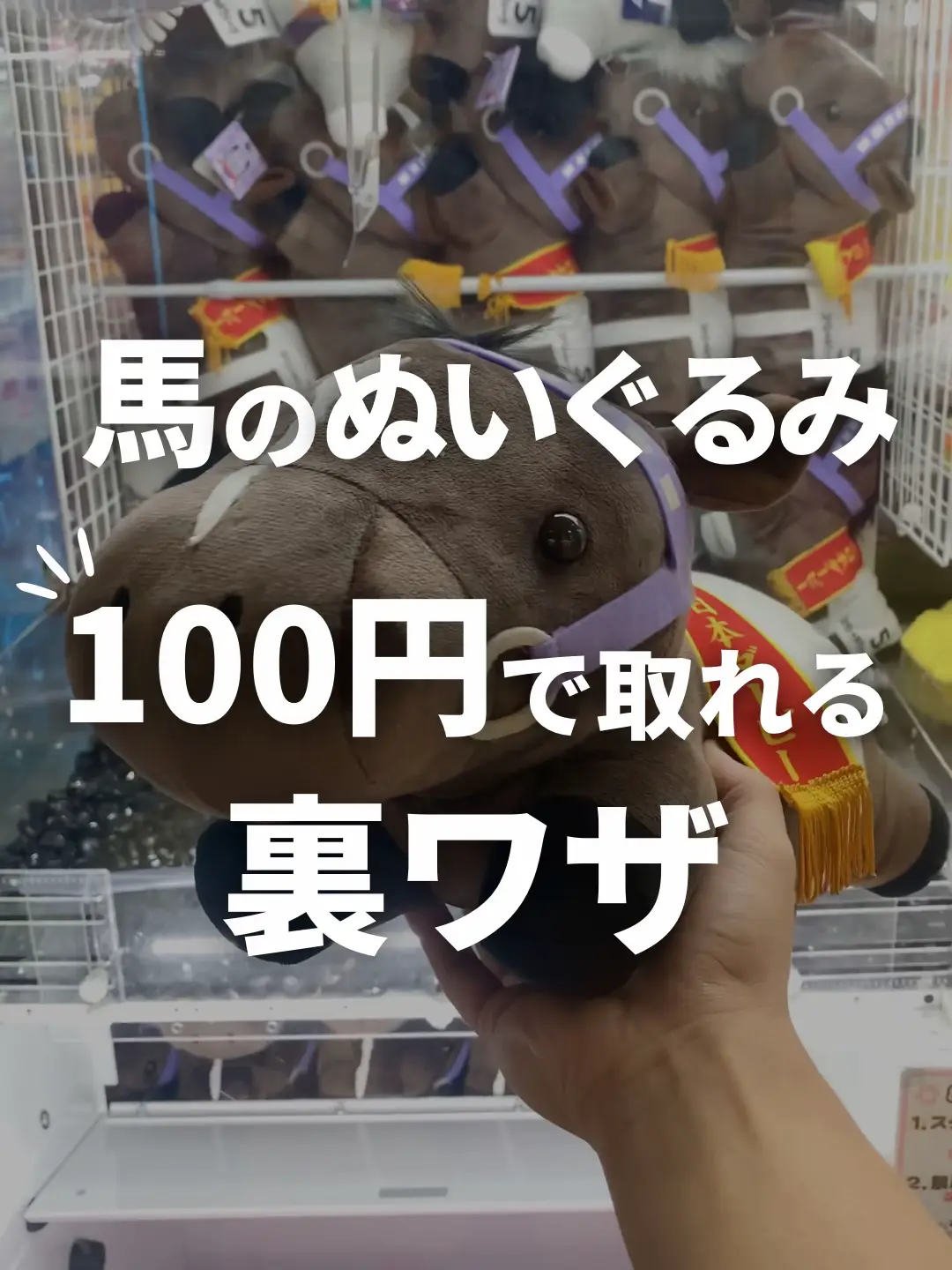 【必見】馬のぬいぐるみを100円でゲットする裏ワザ!