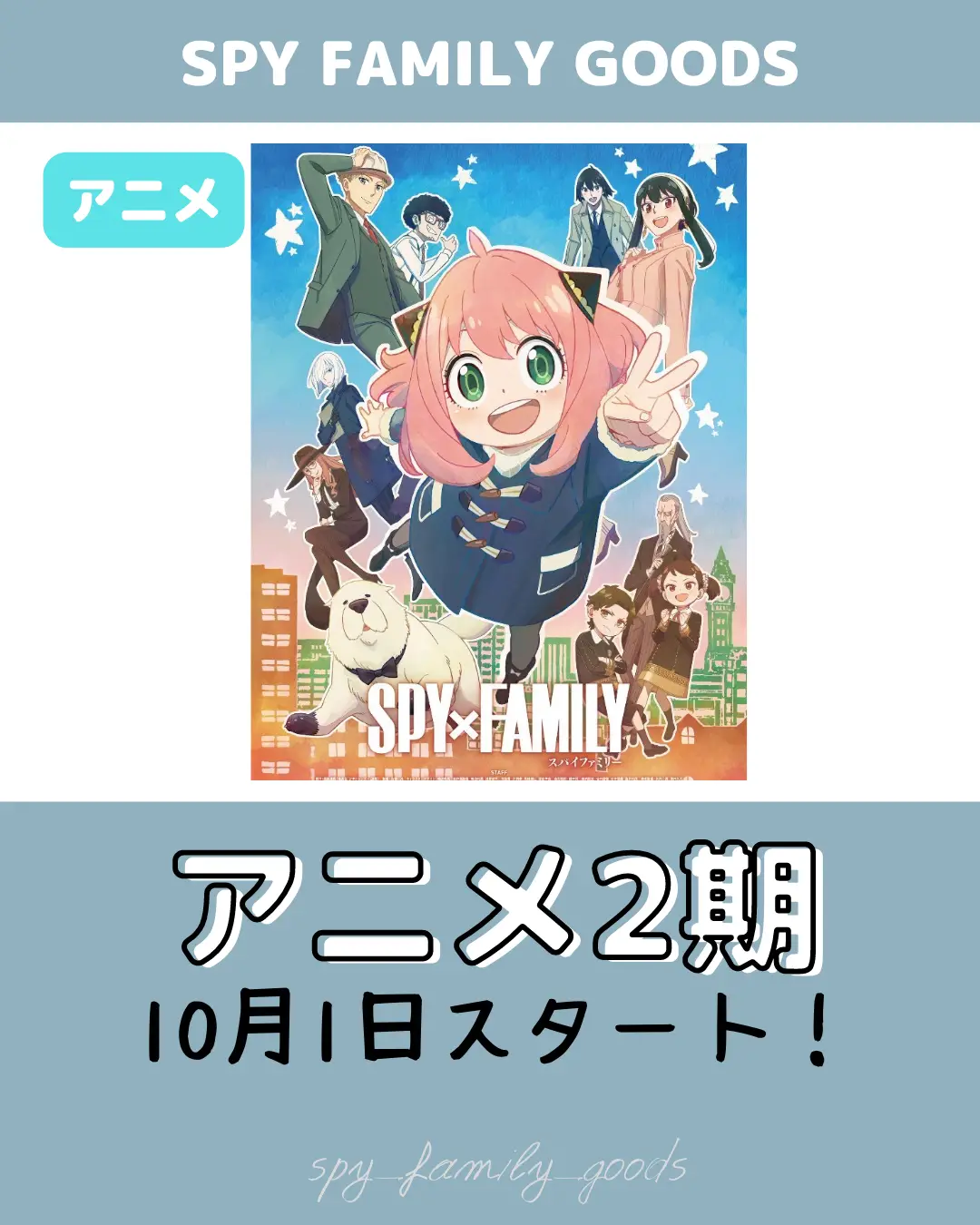 当選品！！SPY×FAMILY豪華箱入り特製バッチ【100個限定非売品】 ピンズ・ピンバッジ・缶バッジ