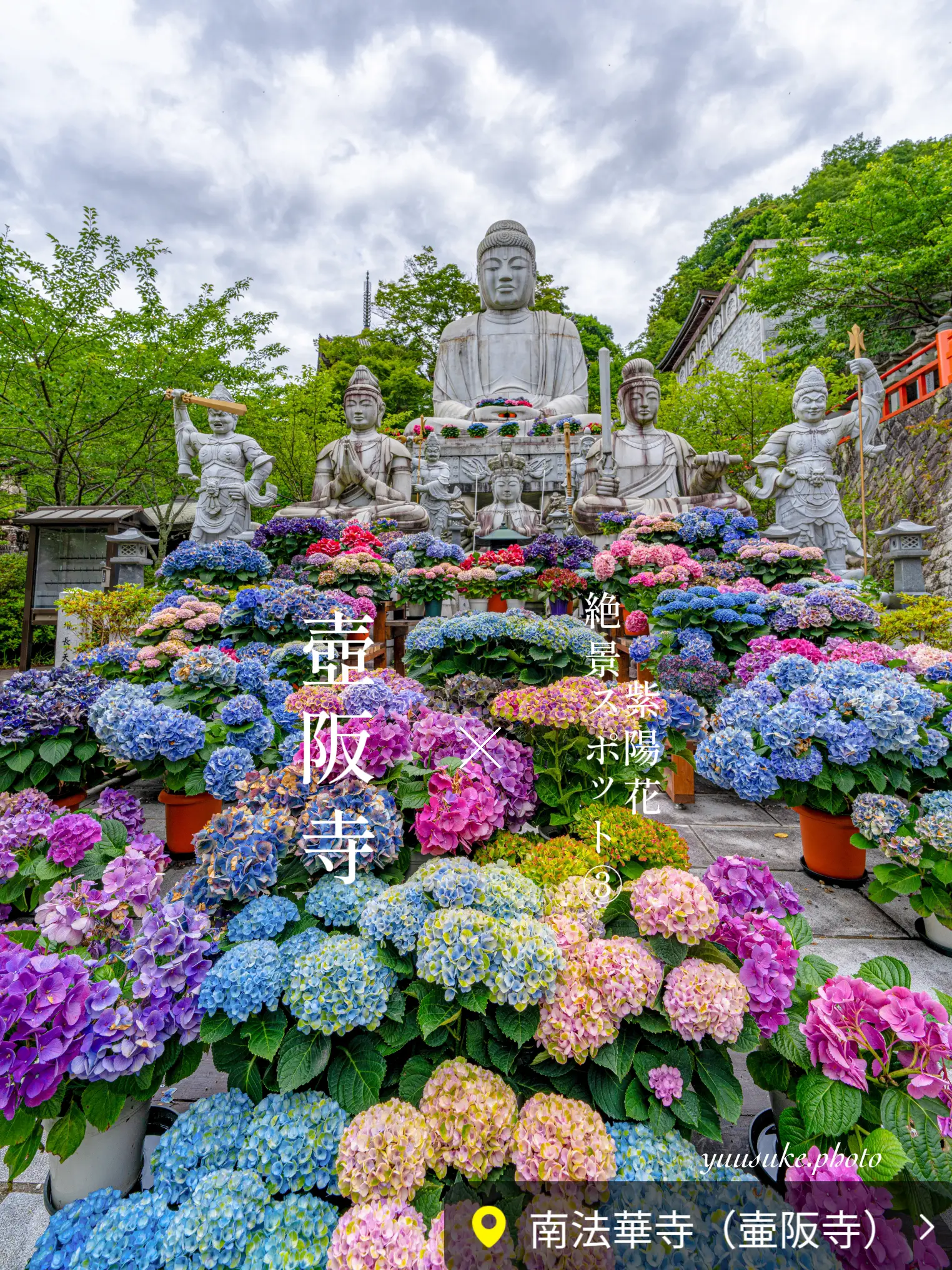 Takatori Town, Nara Prefecture Hydrangea scenic spot in Nara