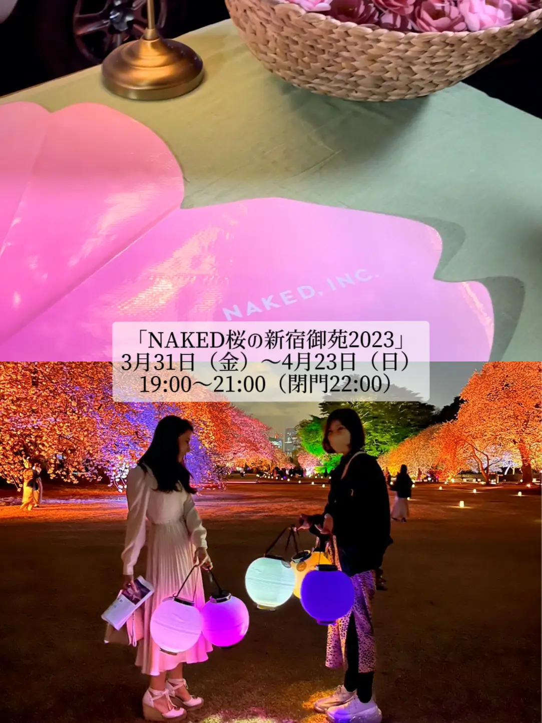 新宿】映える夜桜🌸NAKED桜の新宿御苑2023 | NAOMI |アート・建築巡り