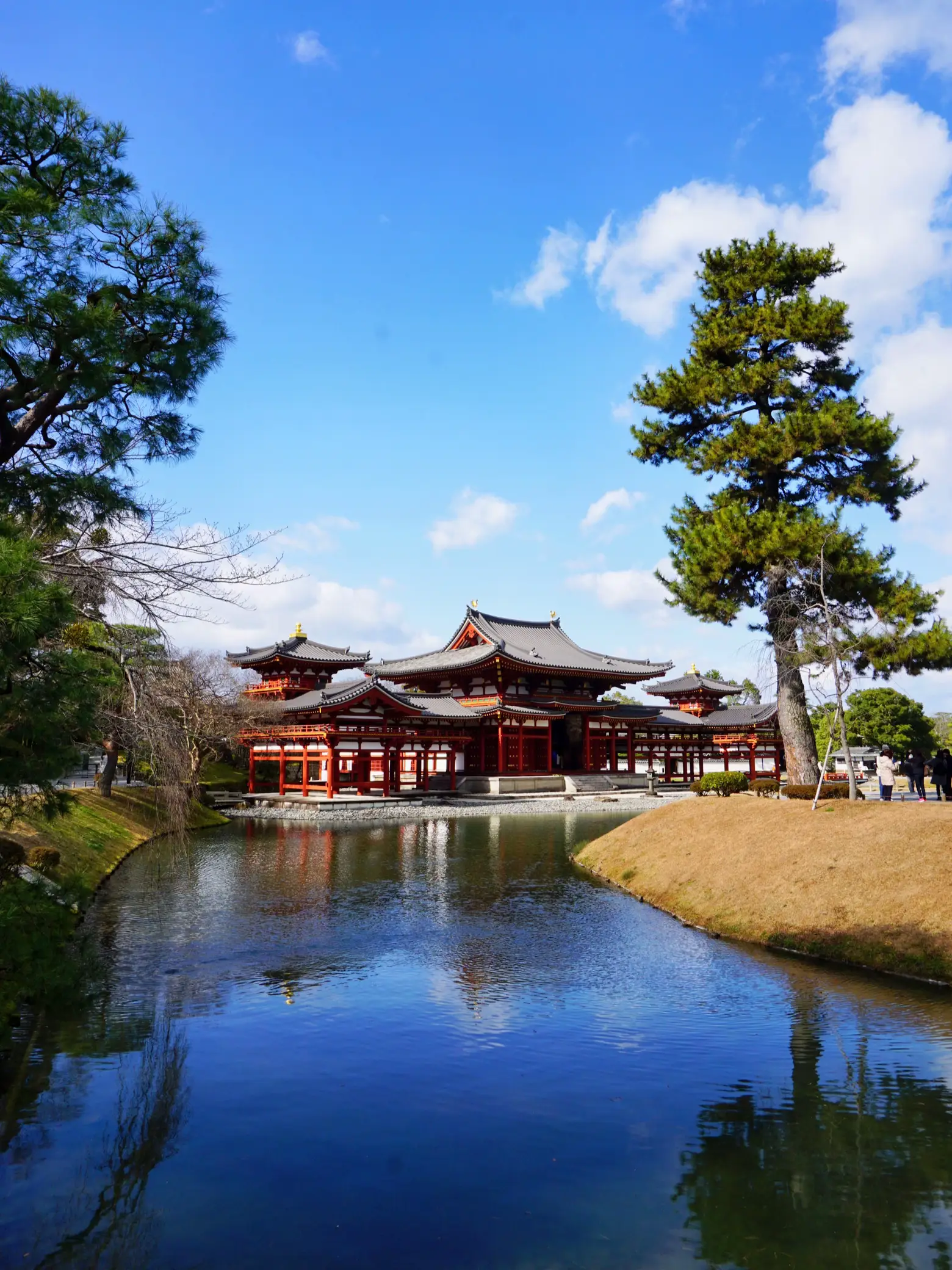 京都】平等院鳳凰堂✨ため息の出る美しさ✨京都の極楽浄土は平等院！ | merufeeが投稿したフォトブック | Lemon8