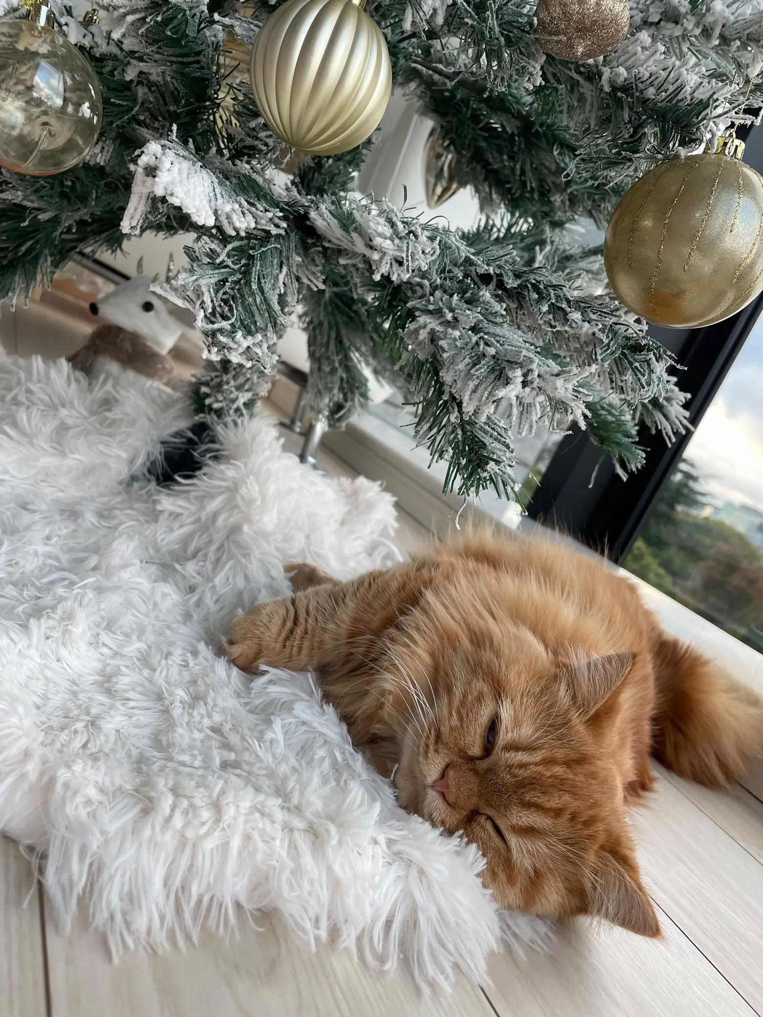 Xmasツリーの下で眠る猫 羊毛フェルト猫 取り付か